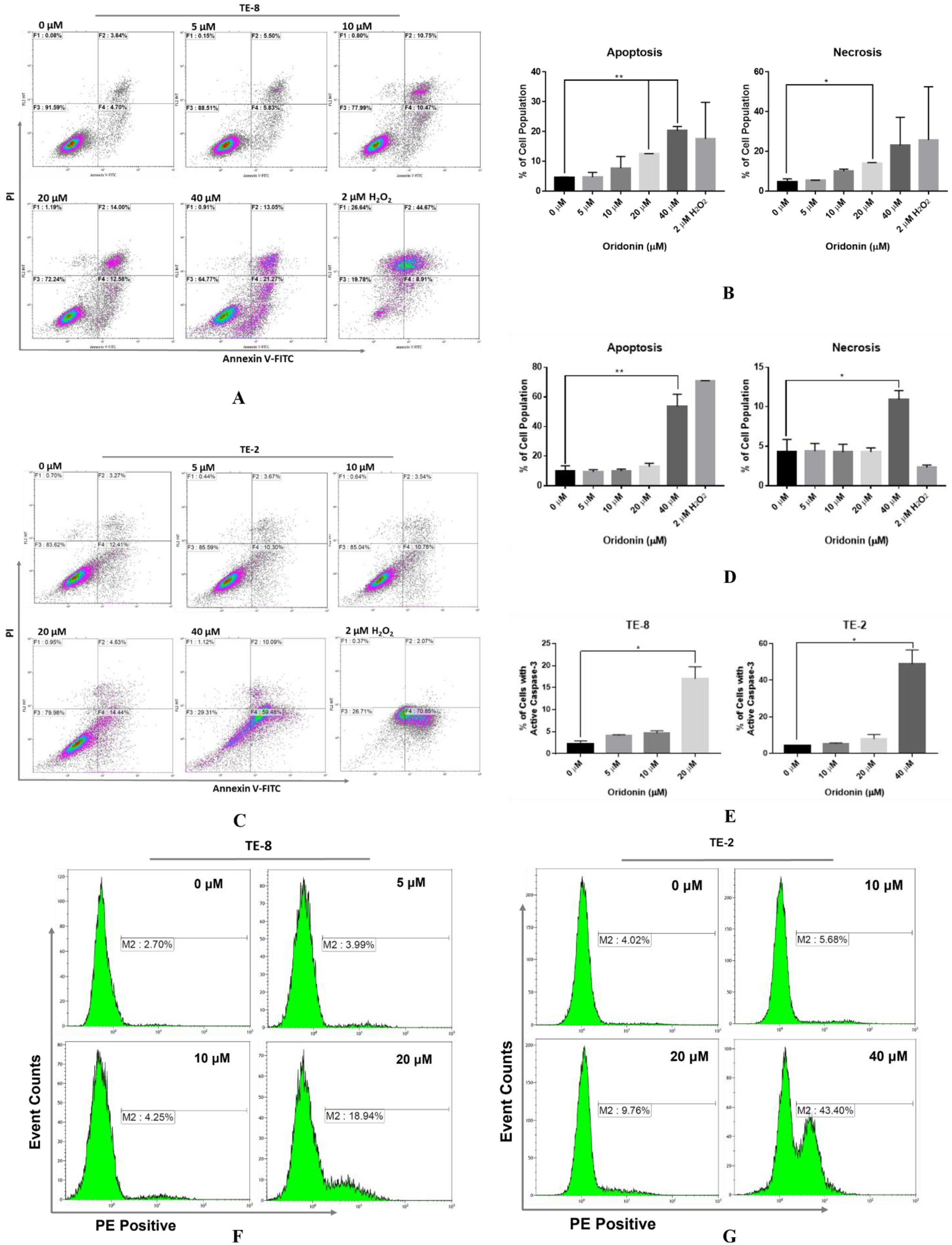 Molecules 28 00805 g004 Molecules 28 00805 g004
