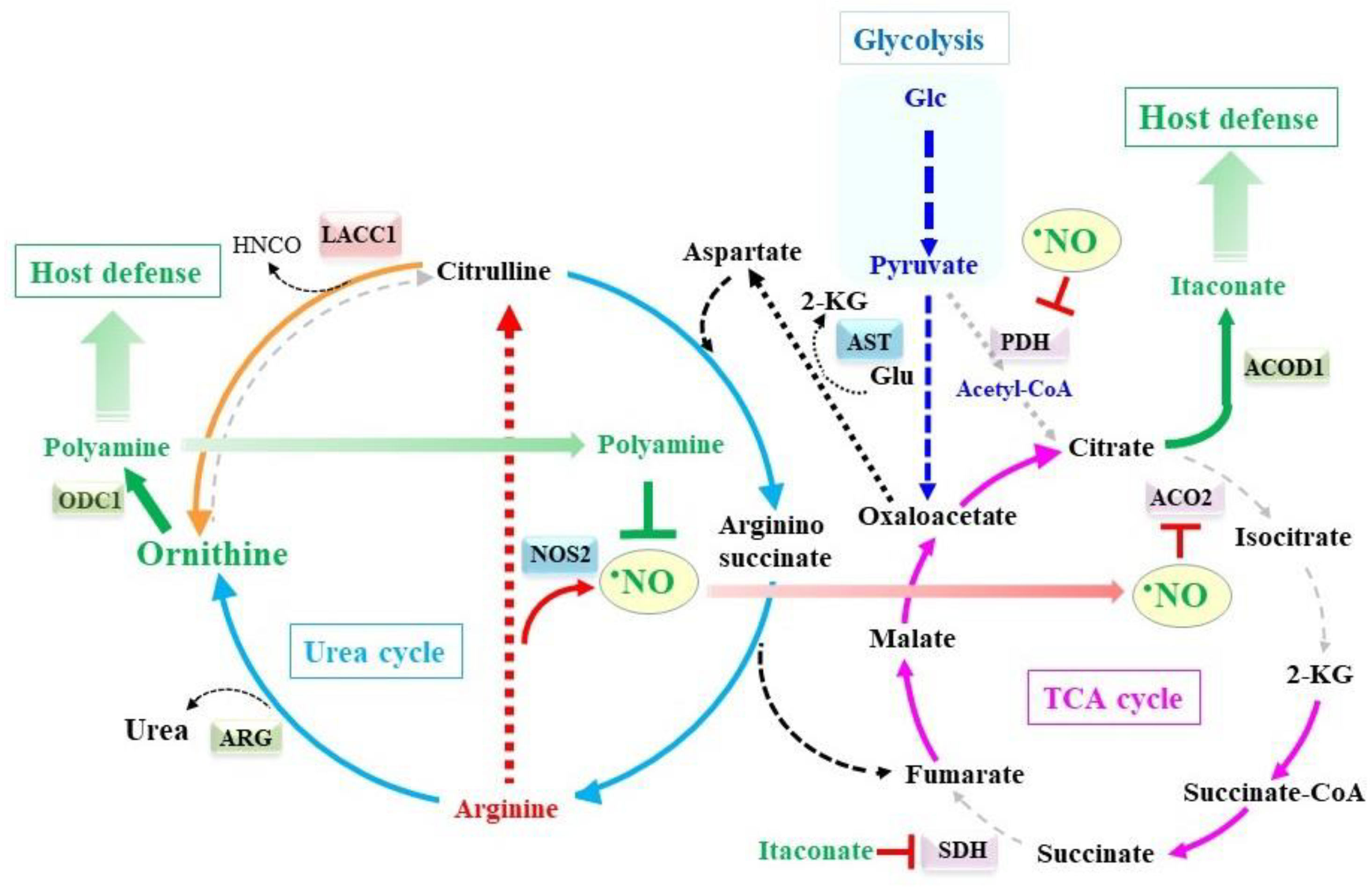 Molecules 28 00814 g005