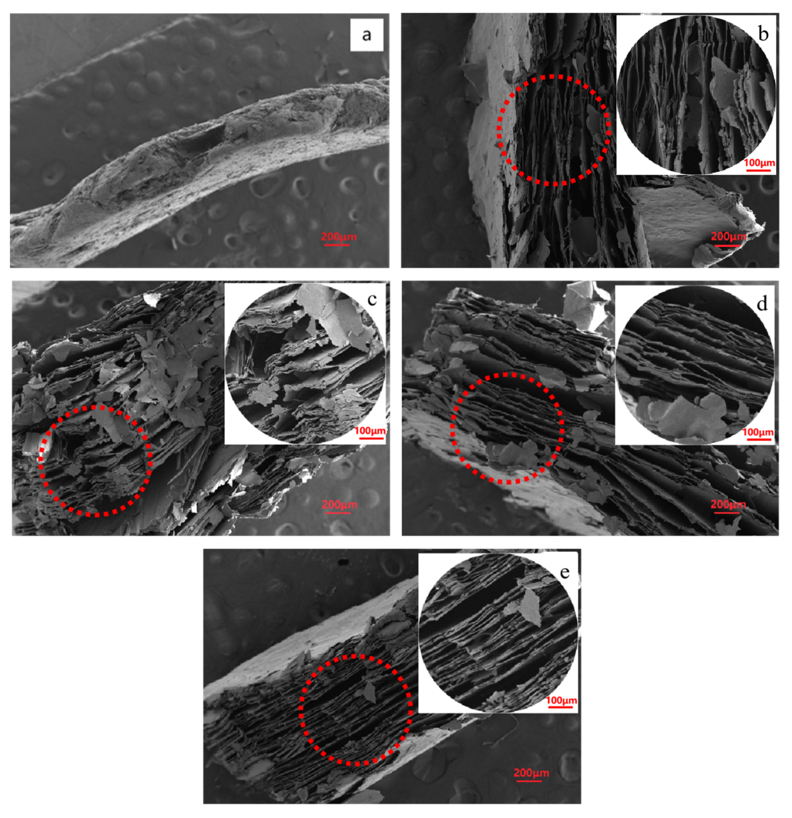 Molecules 28 00817 g005 Molecules 28 00817 g005