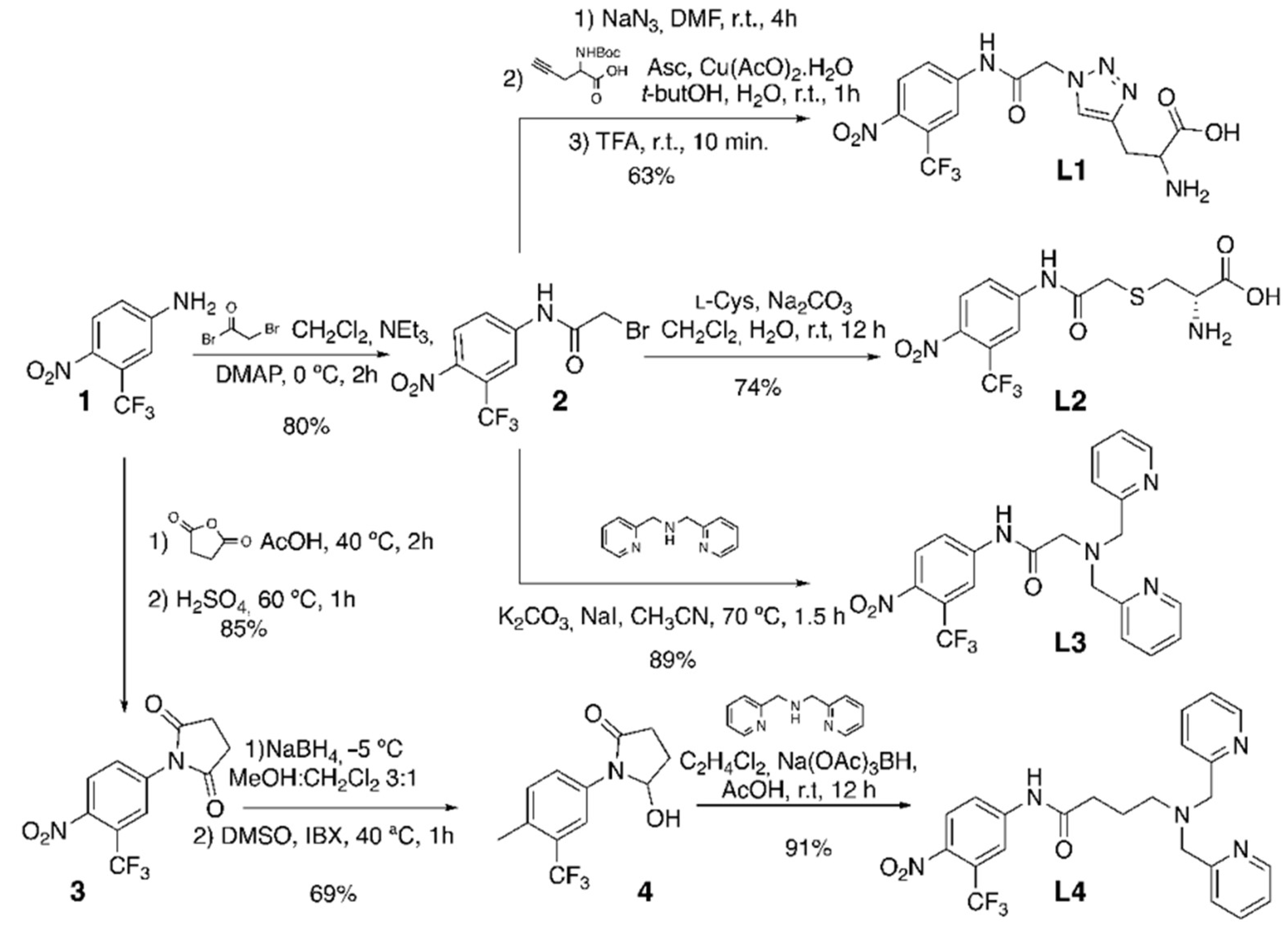 Molecules 28 00820 sch001