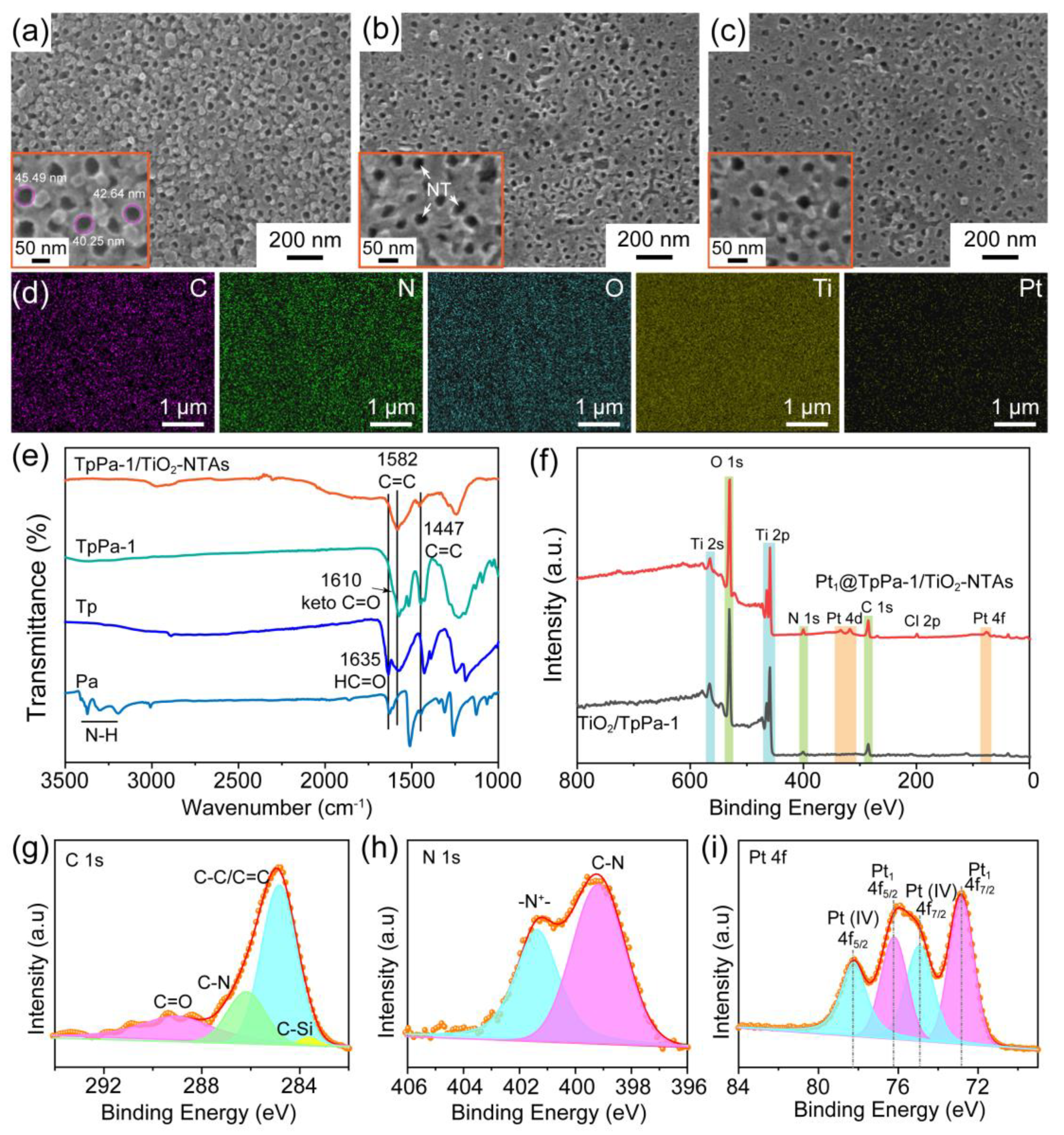 Molecules 28 00822 g002