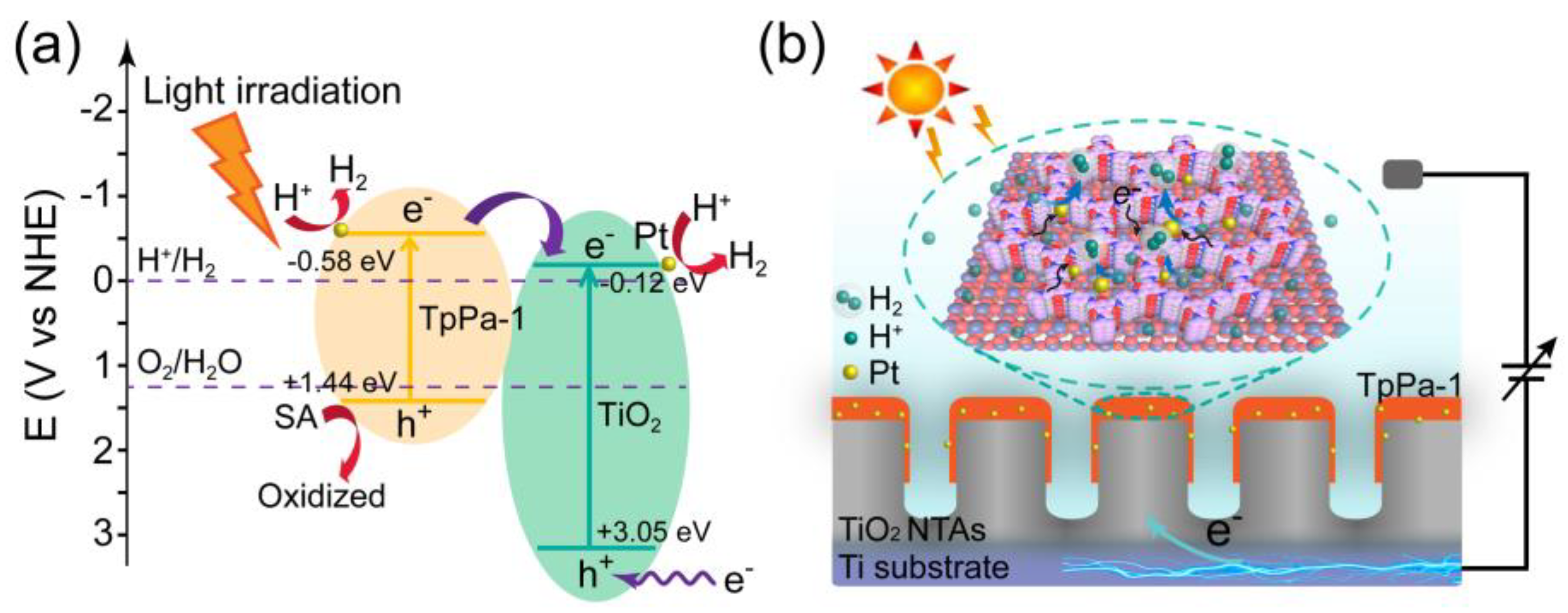 Molecules 28 00822 g005