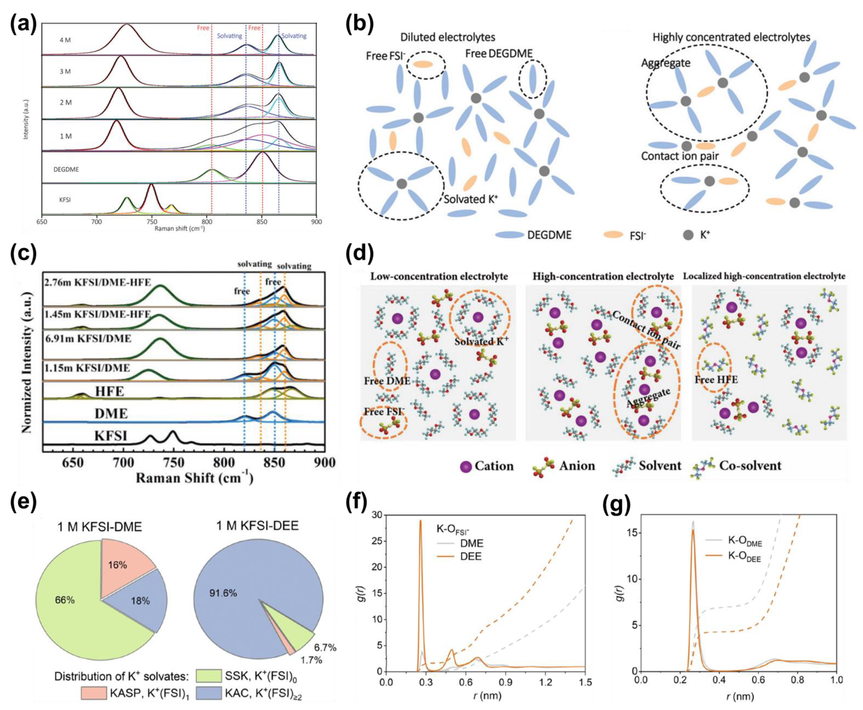 Molecules 28 00823 g004 Molecules 28 00823 g004