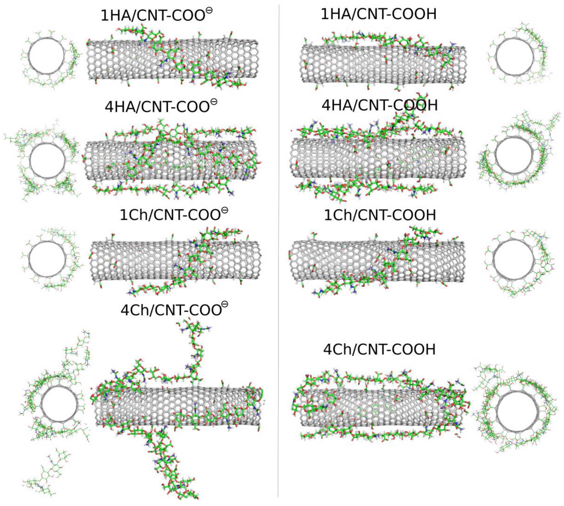 Molecules 28 00826 g006
