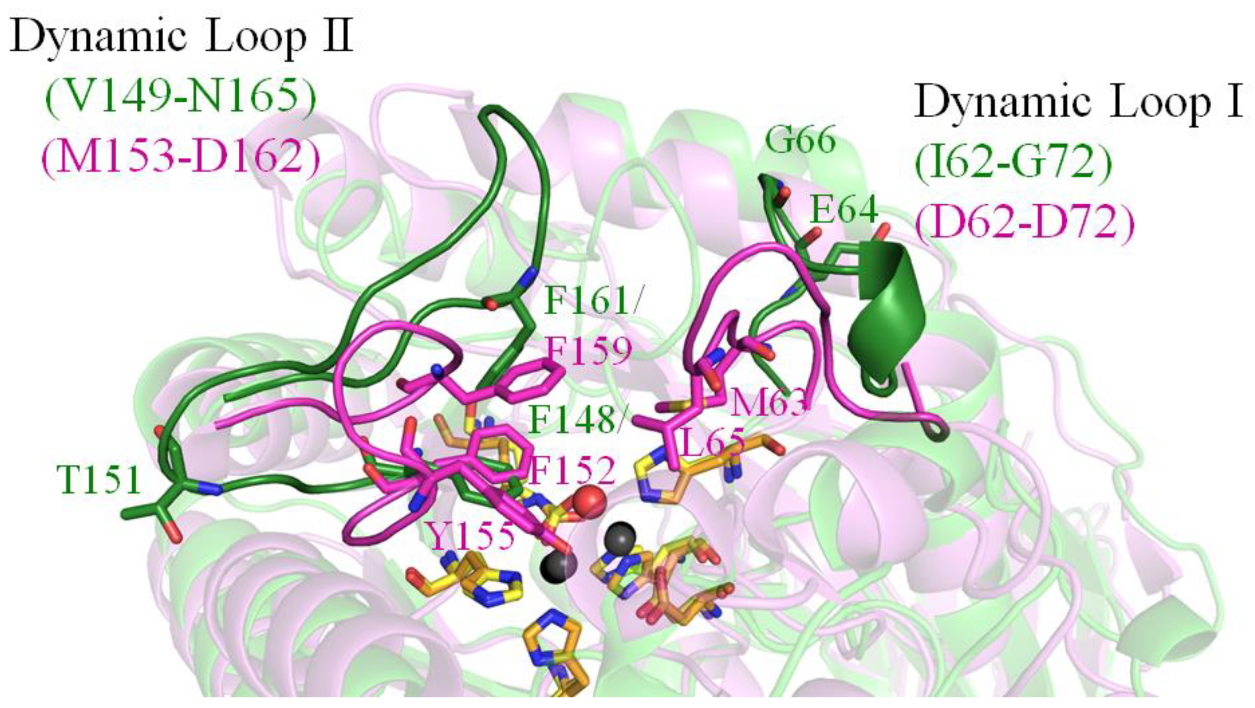 Molecules 28 00827 g006 Molecules 28 00827 g006