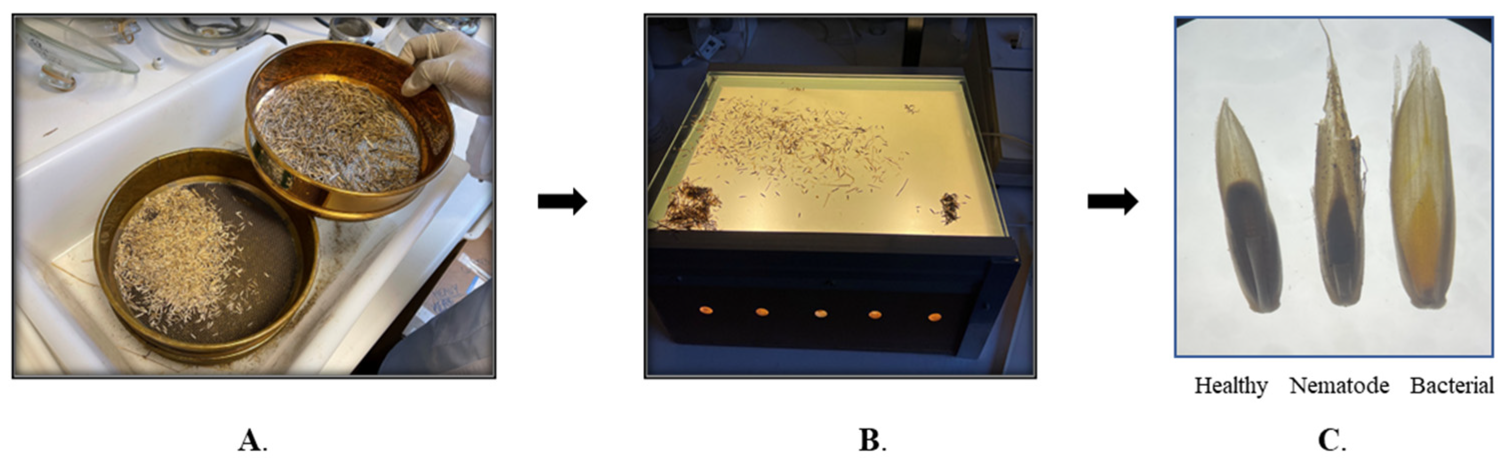 Molecules 28 00828 g007 Molecules 28 00828 g007