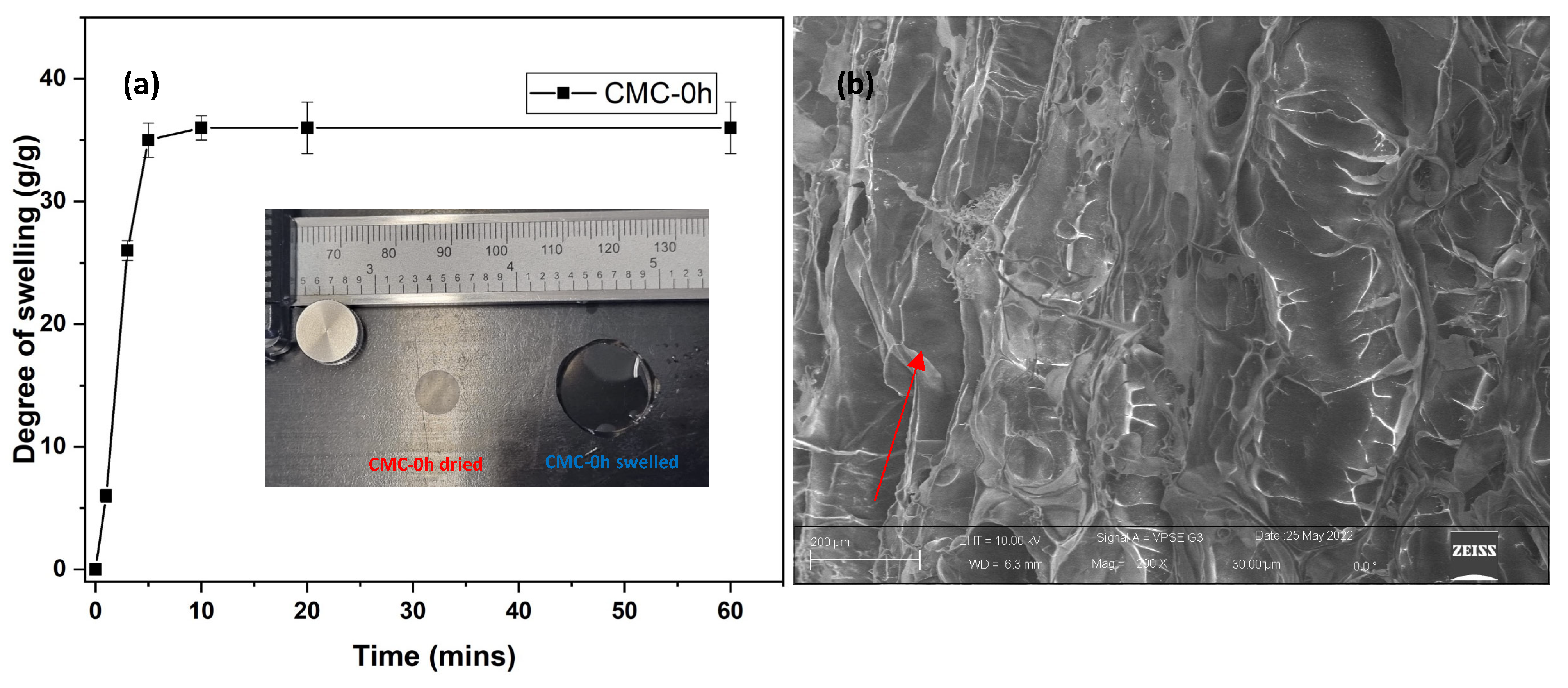 Molecules 28 00829 g004