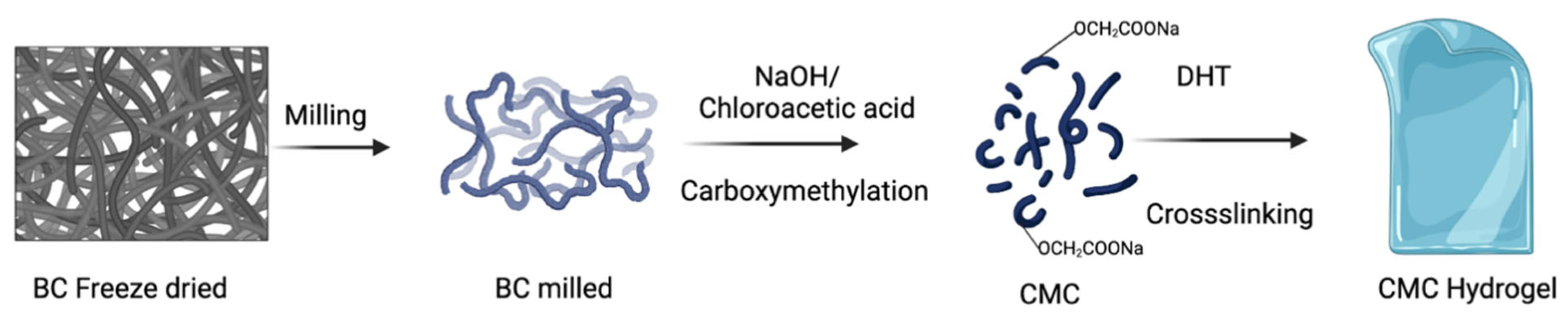 Molecules 28 00829 g006