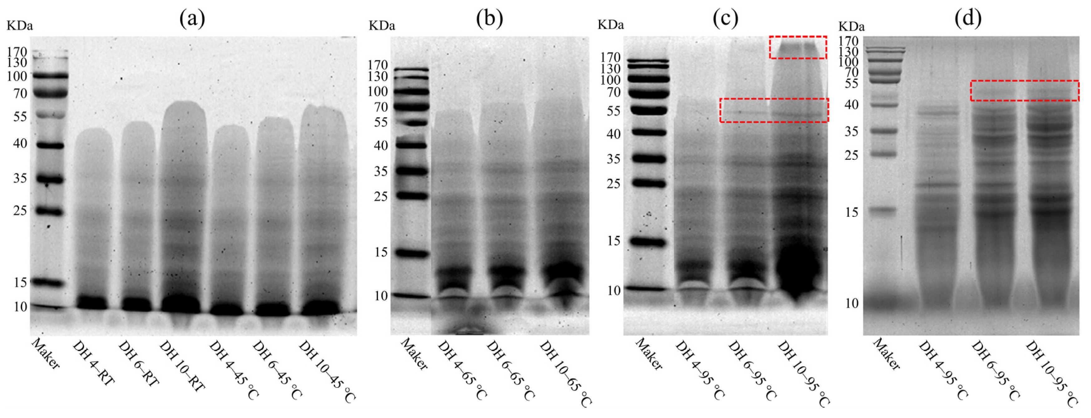 Molecules 28 00834 g002
