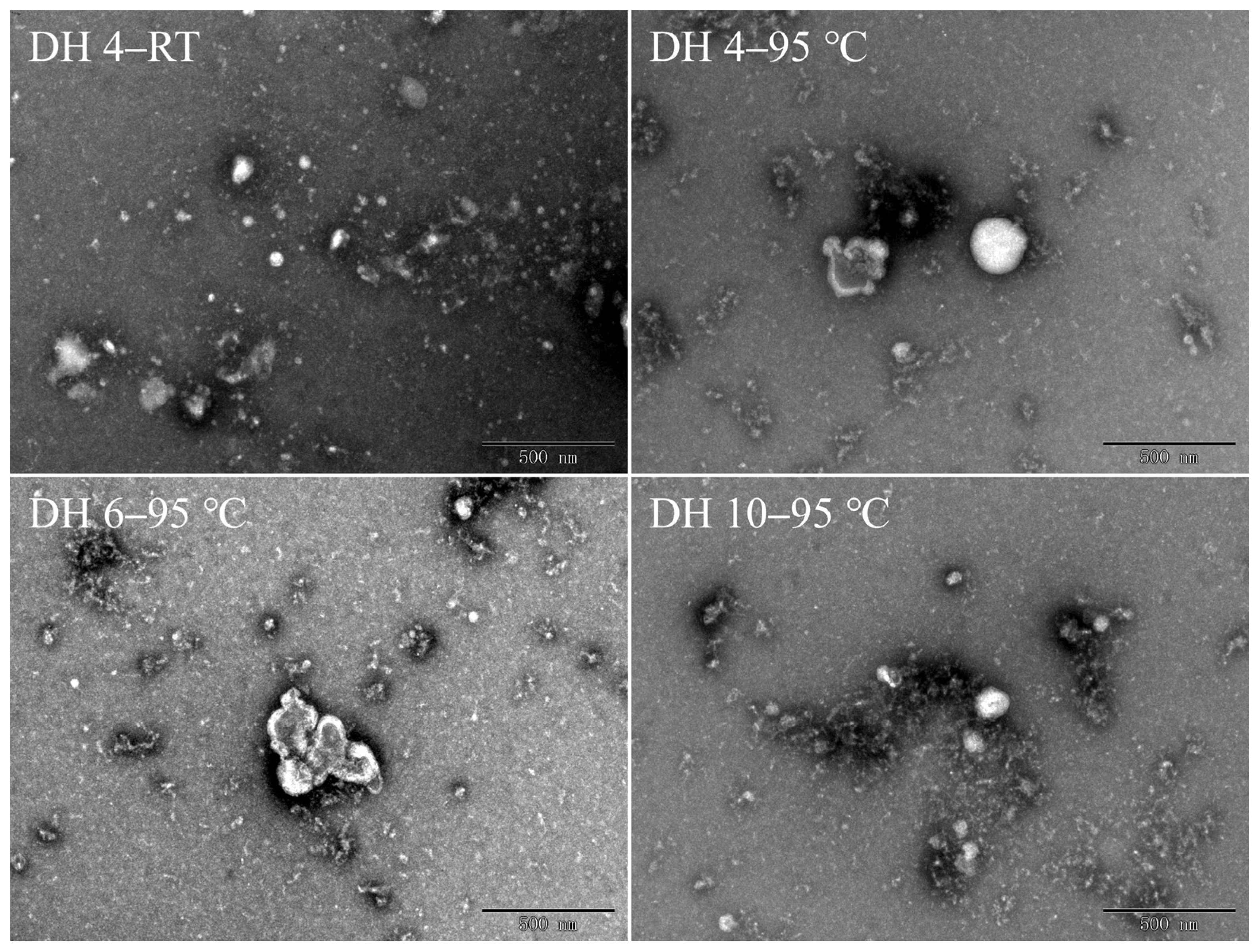 Molecules 28 00834 g004