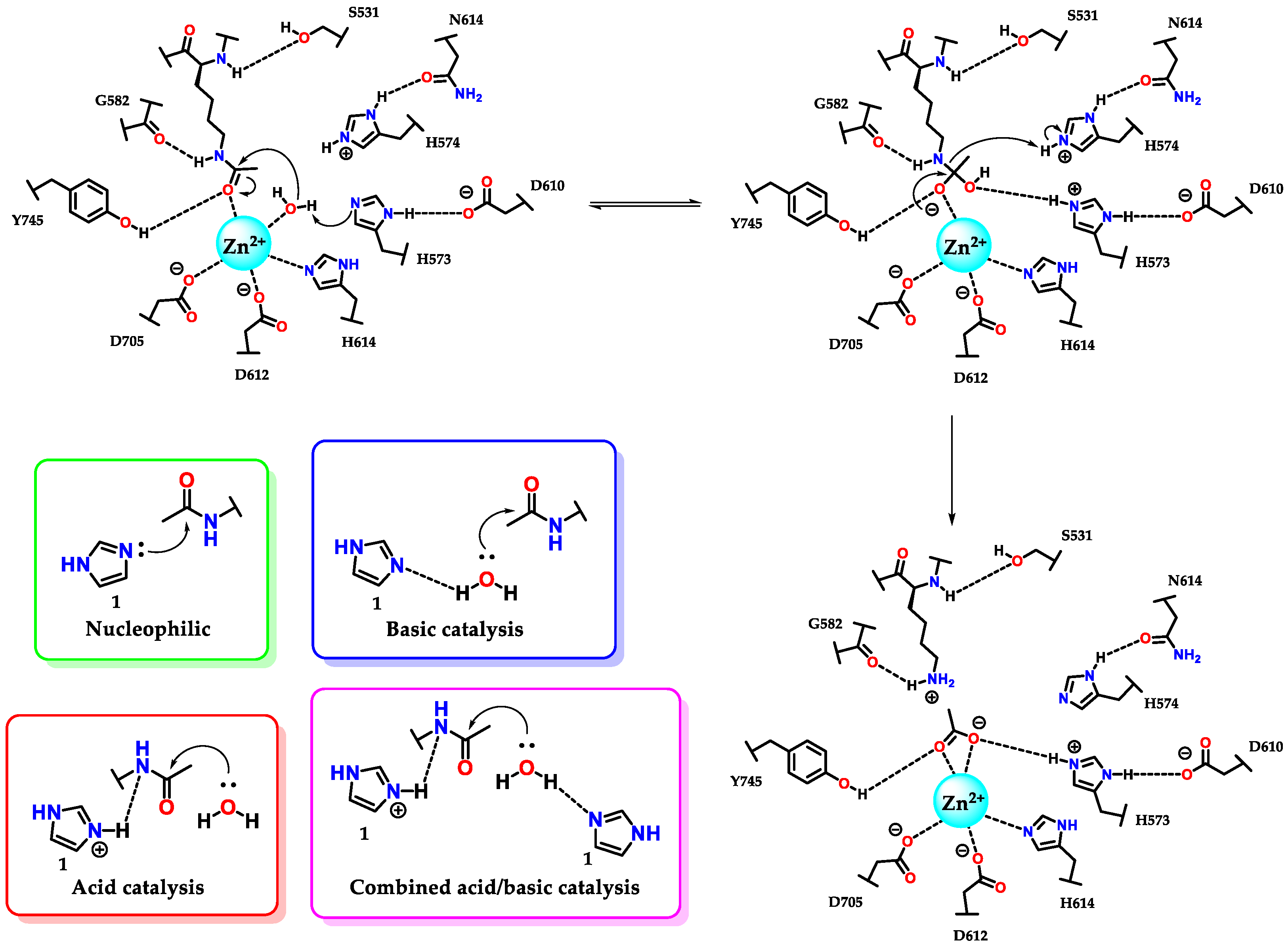 Molecules 28 00838 g029 Molecules 28 00838 g029