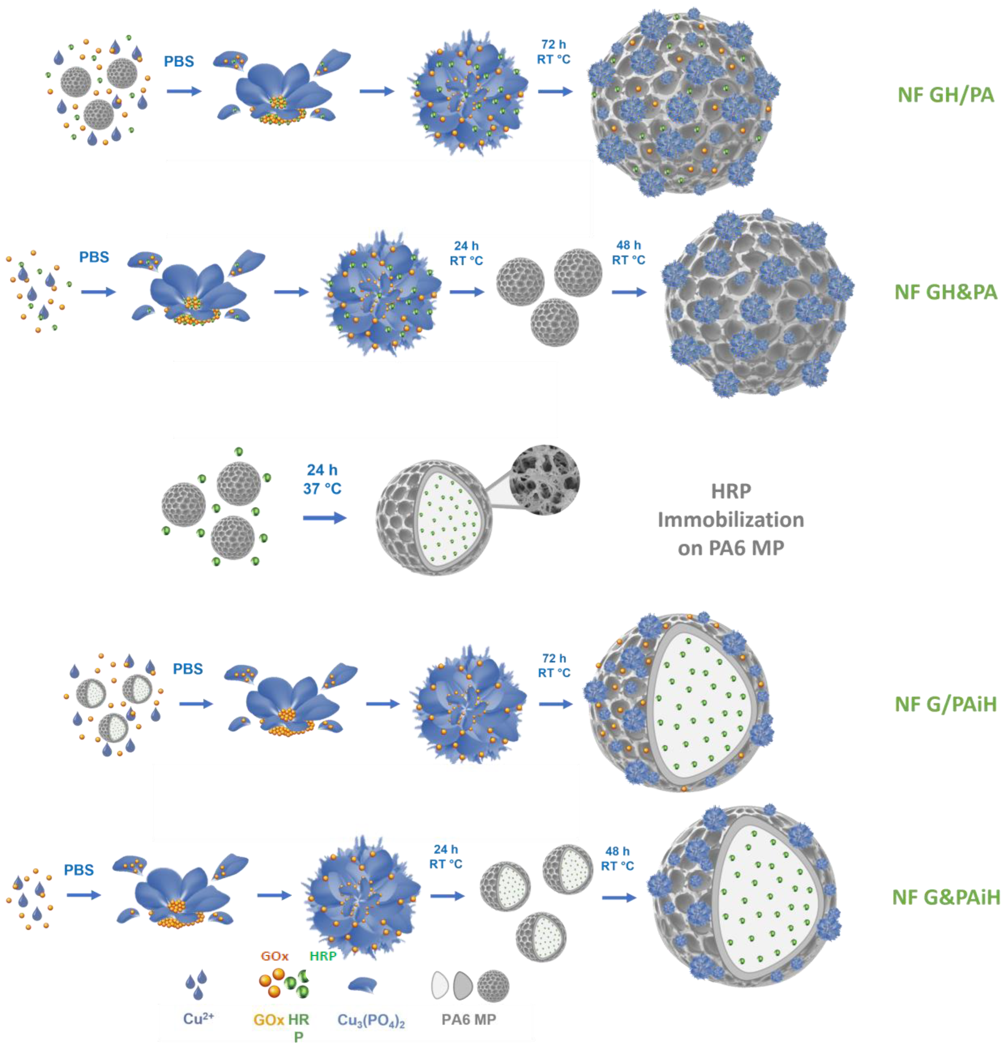 Molecules 28 00839 g001
