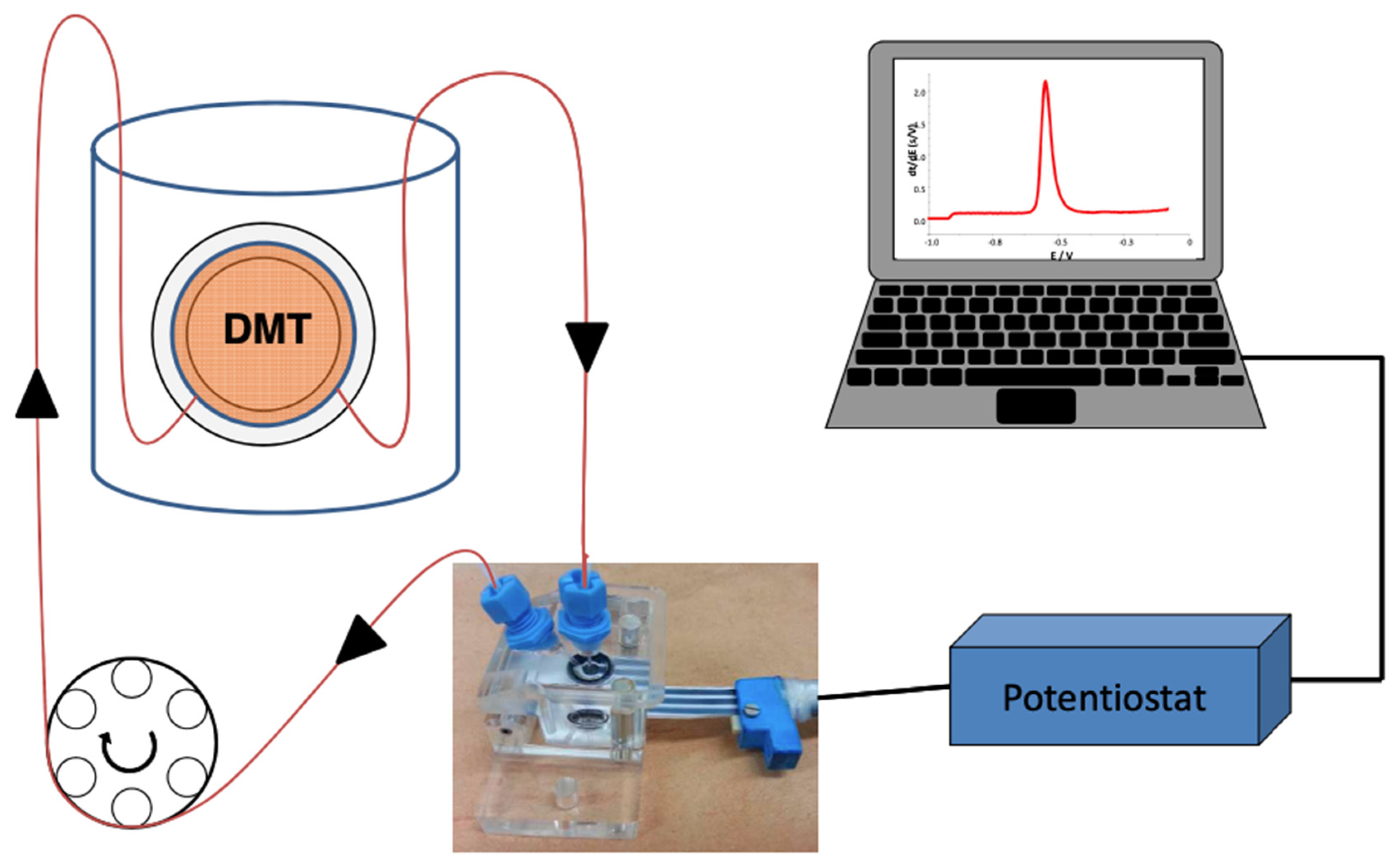 Molecules 28 00846 g006