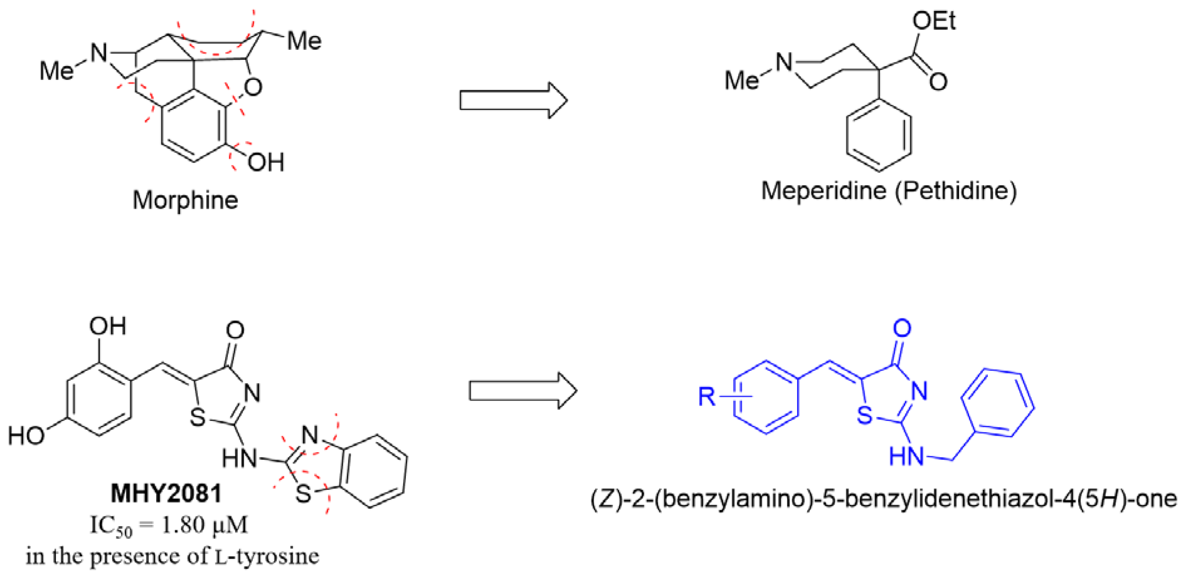 Molecules 28 00848 g001 Molecules 28 00848 g001