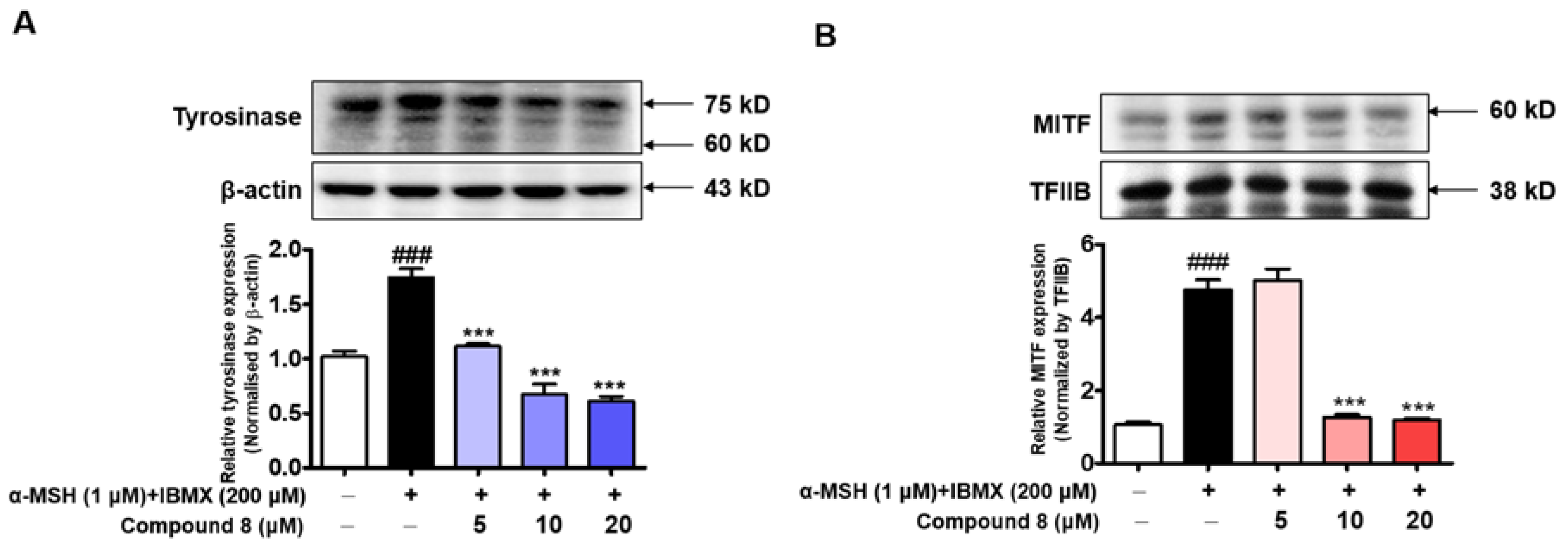 Molecules 28 00848 g013 Molecules 28 00848 g013