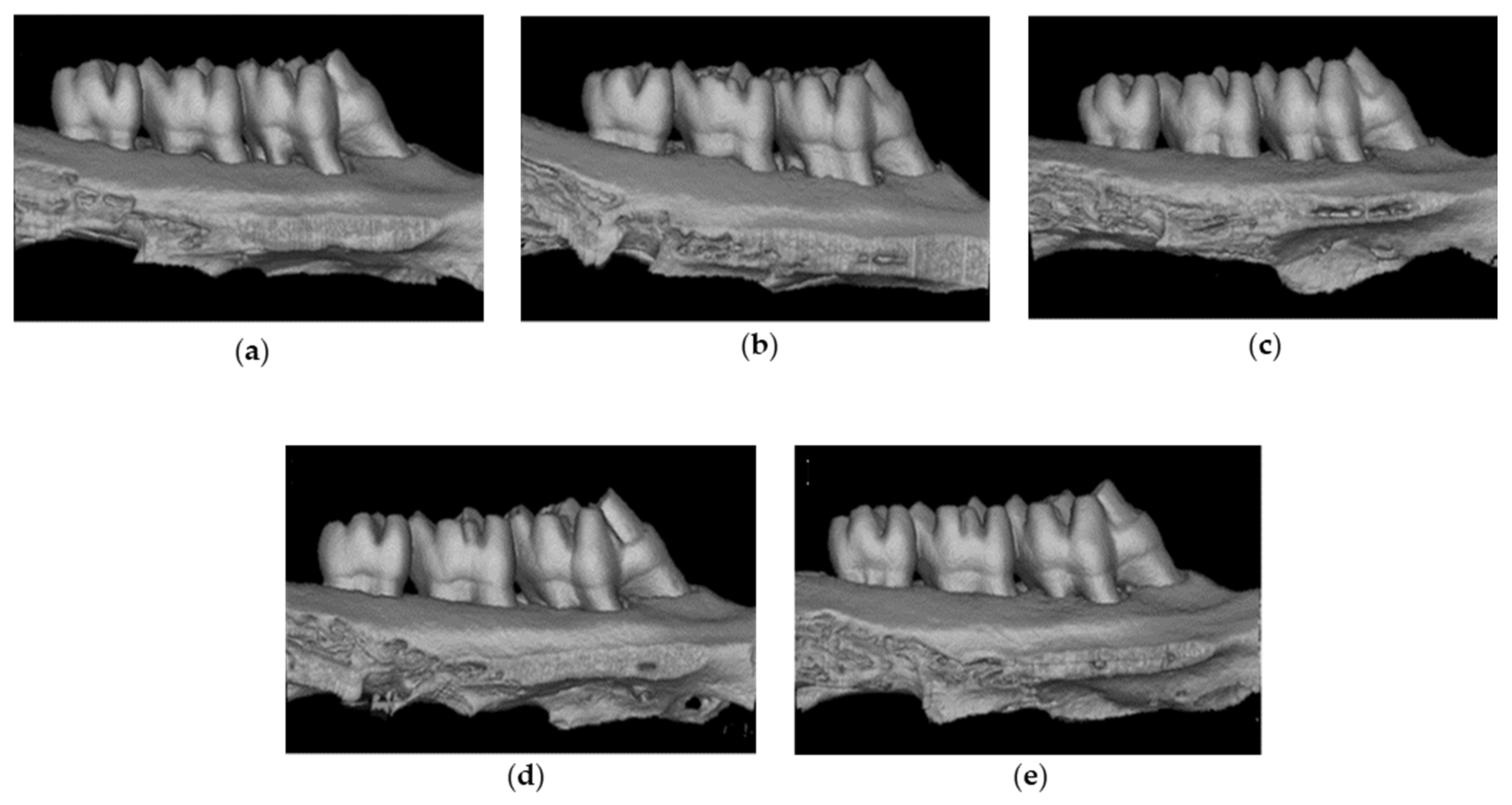 Molecules 28 00849 g004 Molecules 28 00849 g004