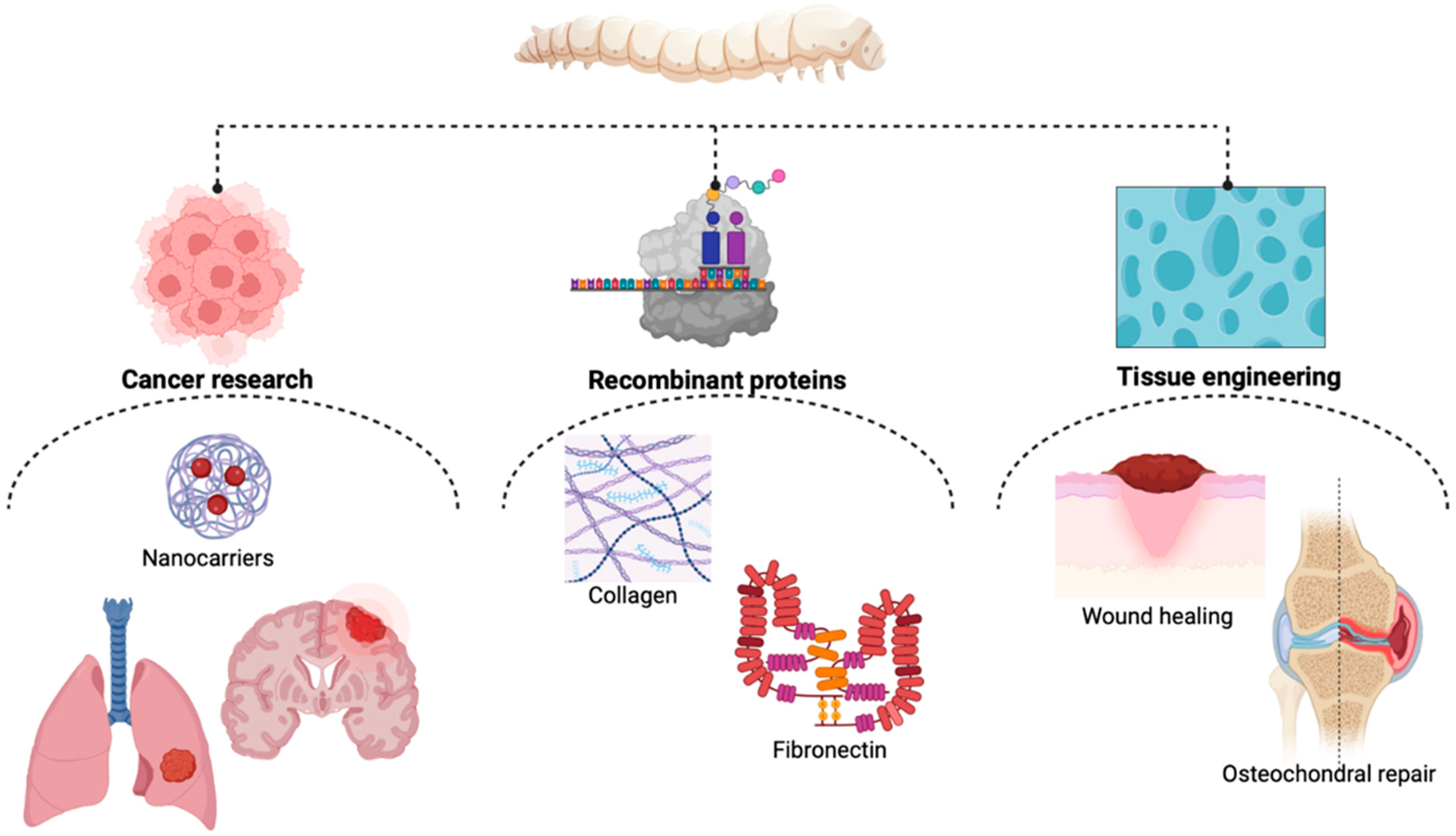 Molecules 28 00850 g001