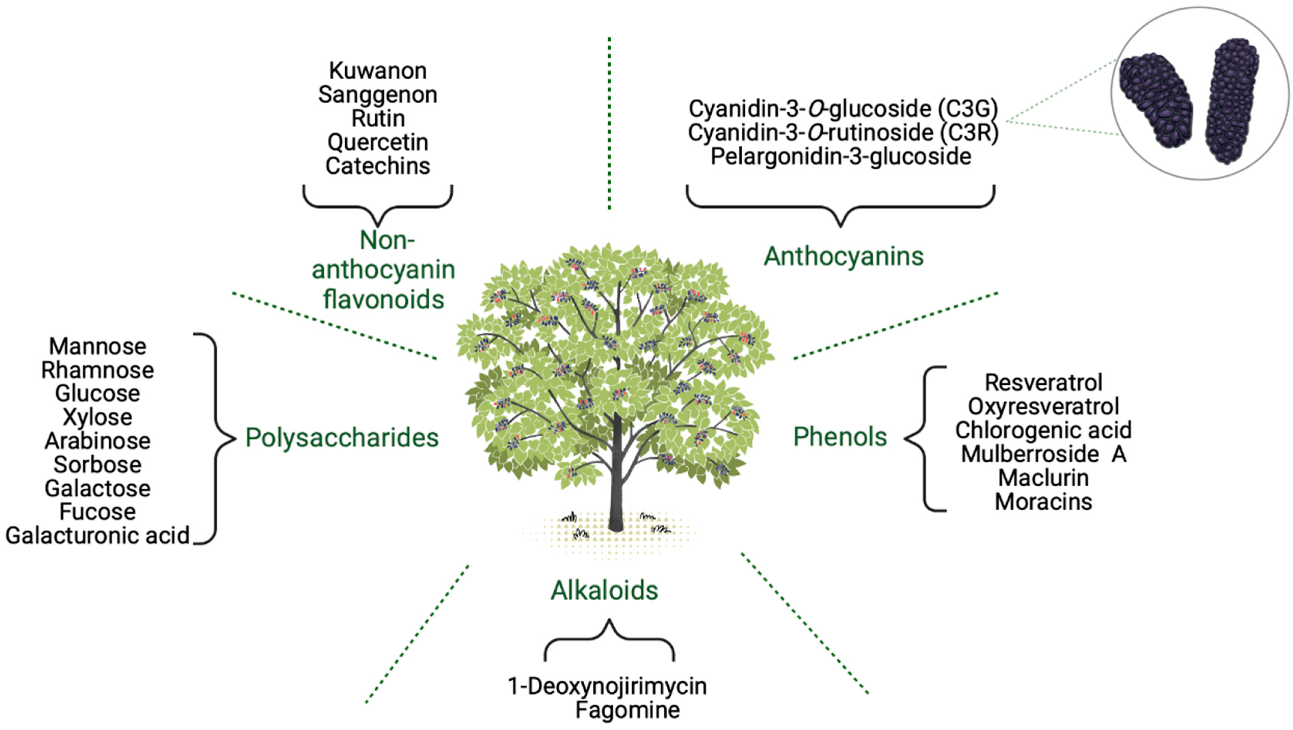 Molecules 28 00850 g003
