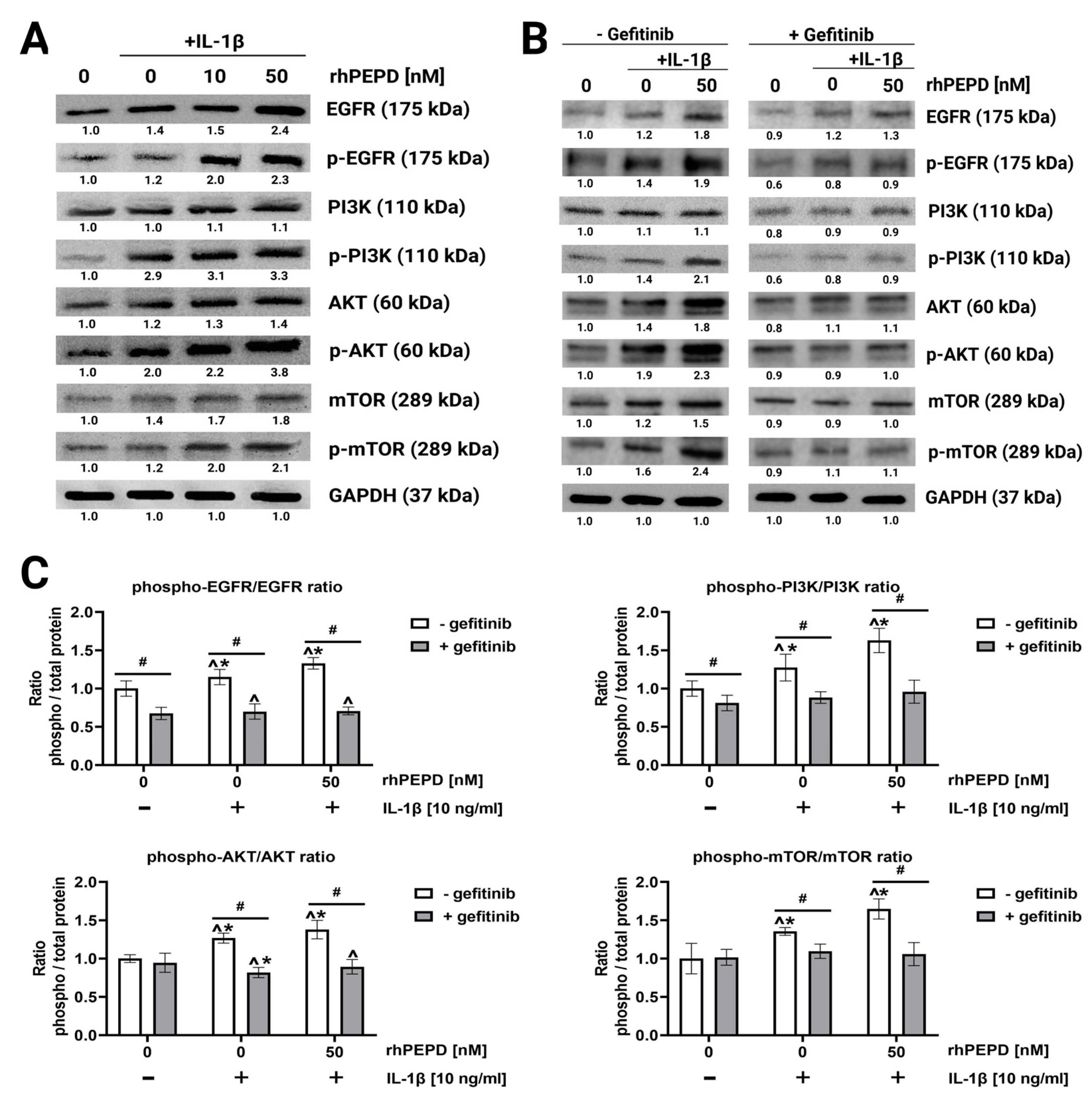 Molecules 28 00851 g003 Molecules 28 00851 g003