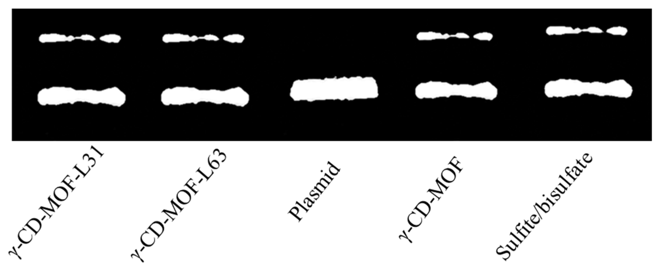 Molecules 28 00852 g006