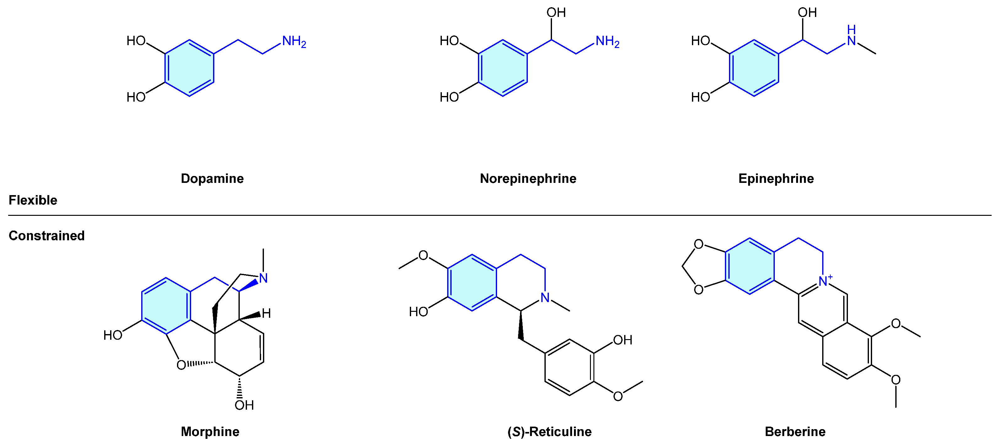 methamphetamine lewis structure