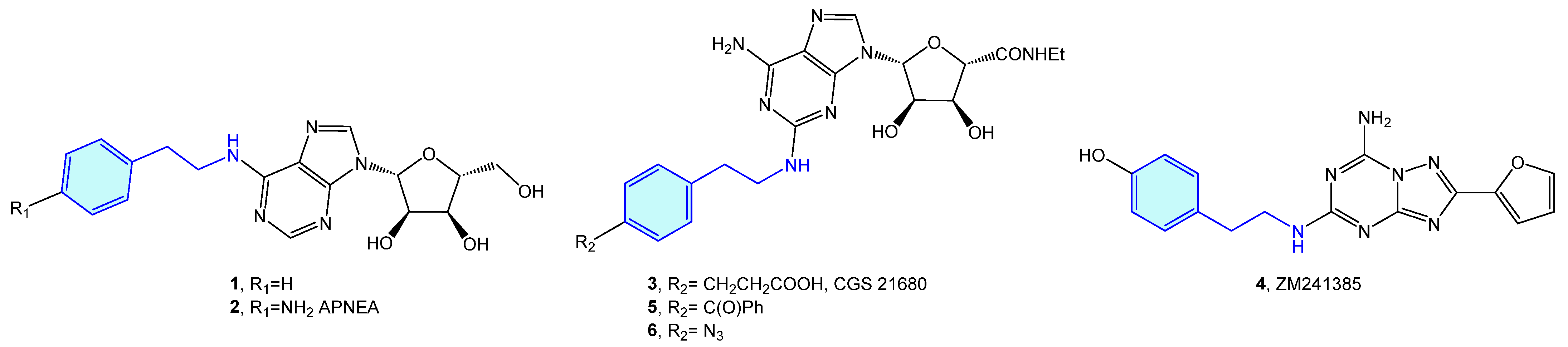 Molecules 28 00855 g003