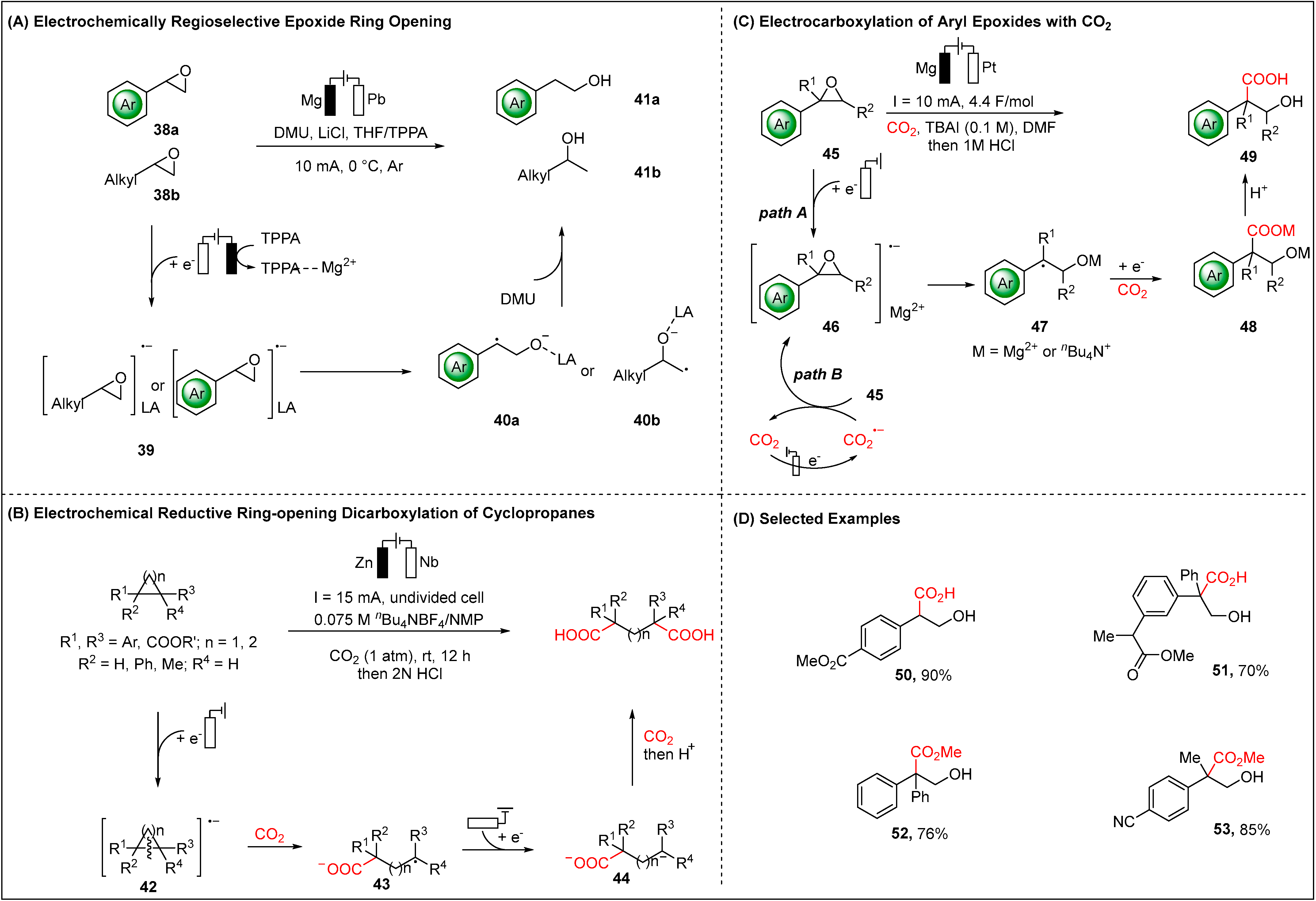 Molecules 28 00857 g007 Molecules 28 00857 g007