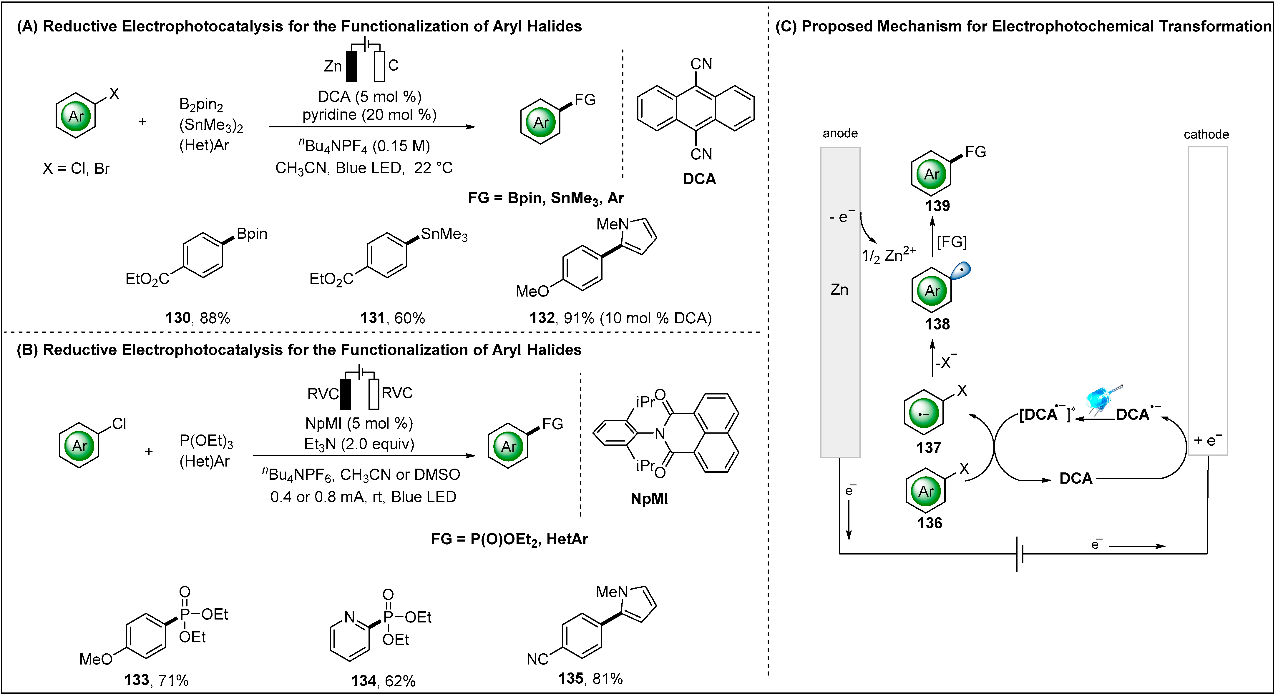 Molecules 28 00857 g017 Molecules 28 00857 g017