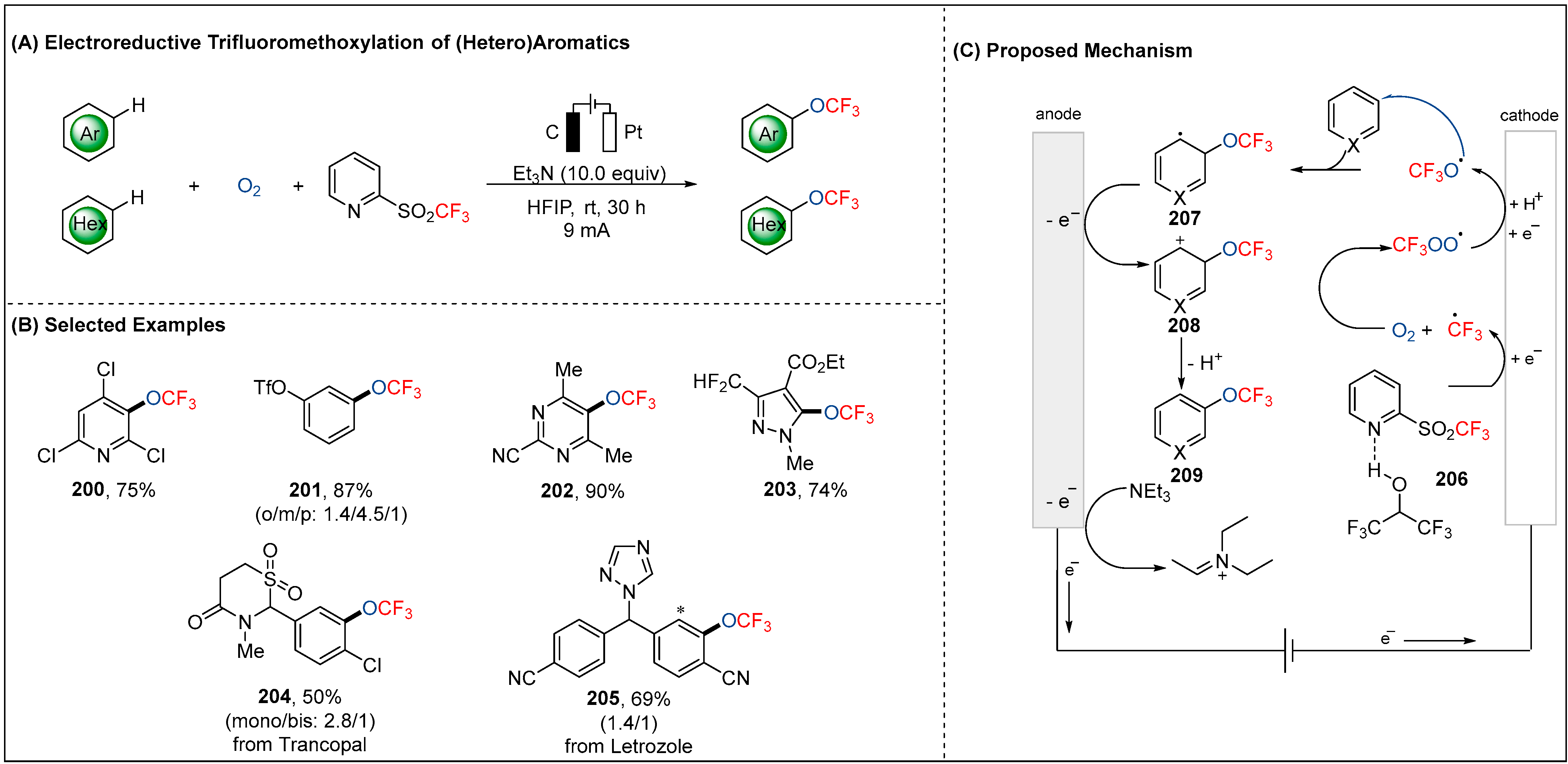 Molecules 28 00857 g023 Molecules 28 00857 g023