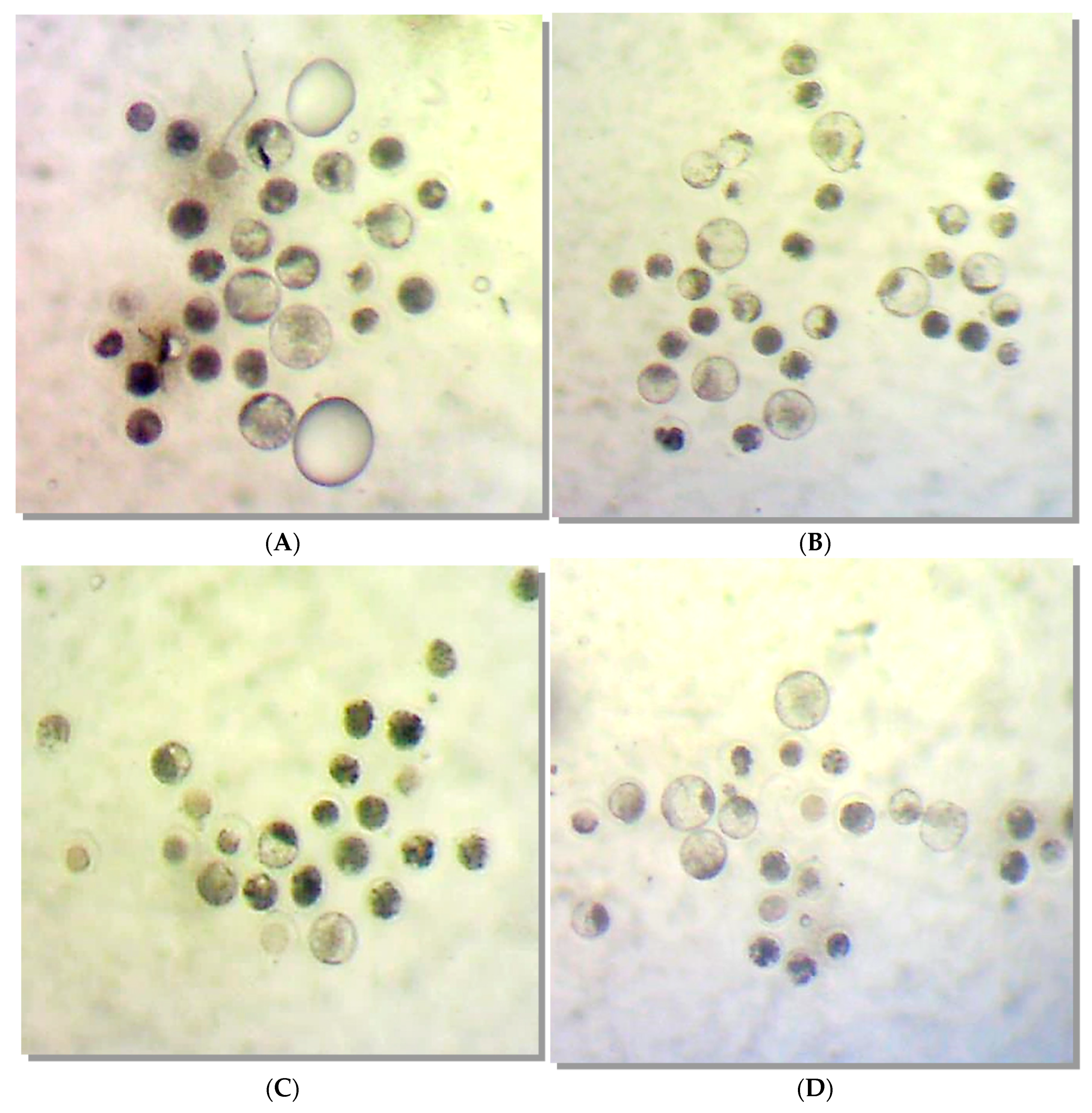 Molecules 28 00859 g001