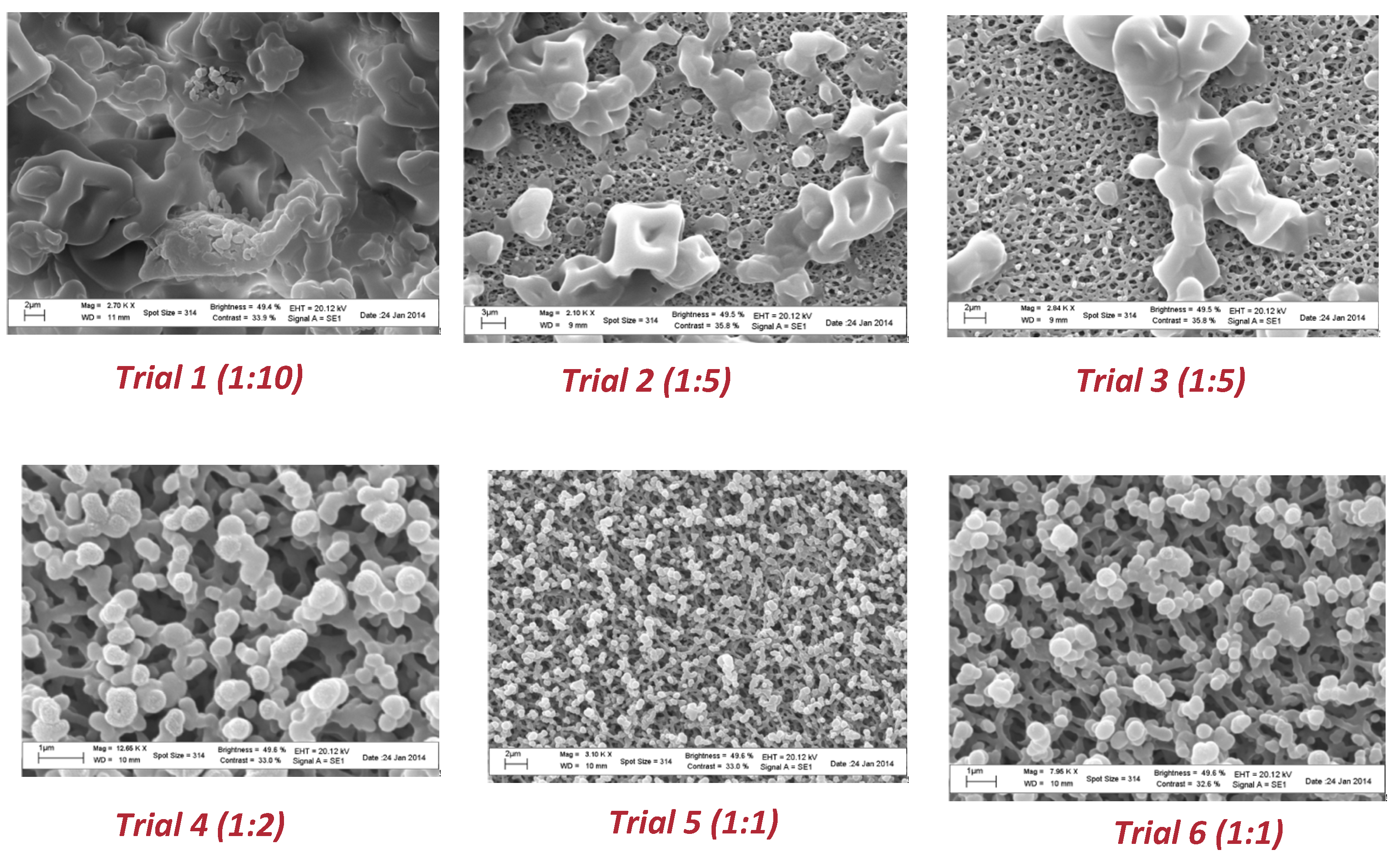 Molecules 28 00860 g006