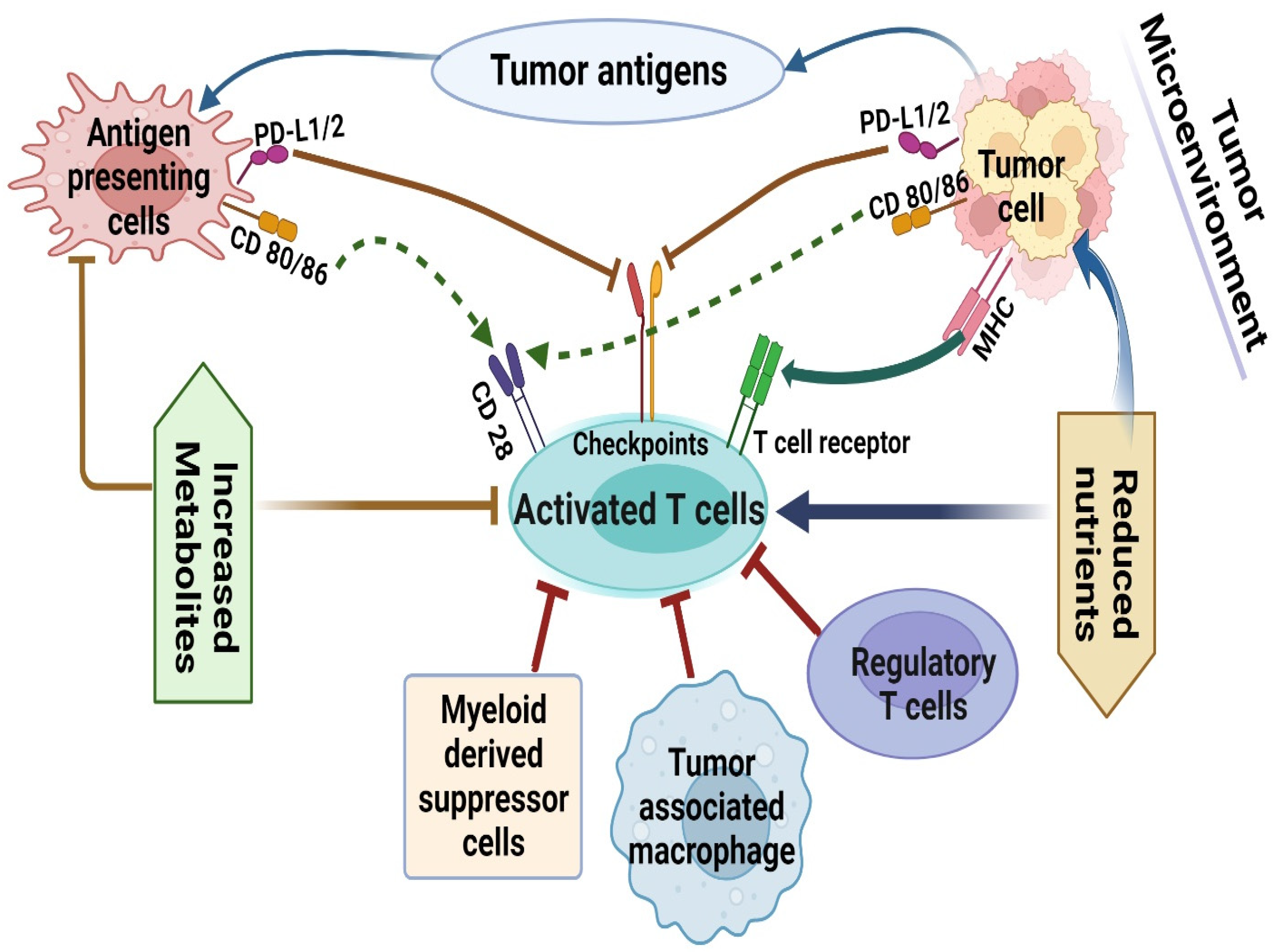 Molecules 28 00862 g001 Molecules 28 00862 g001