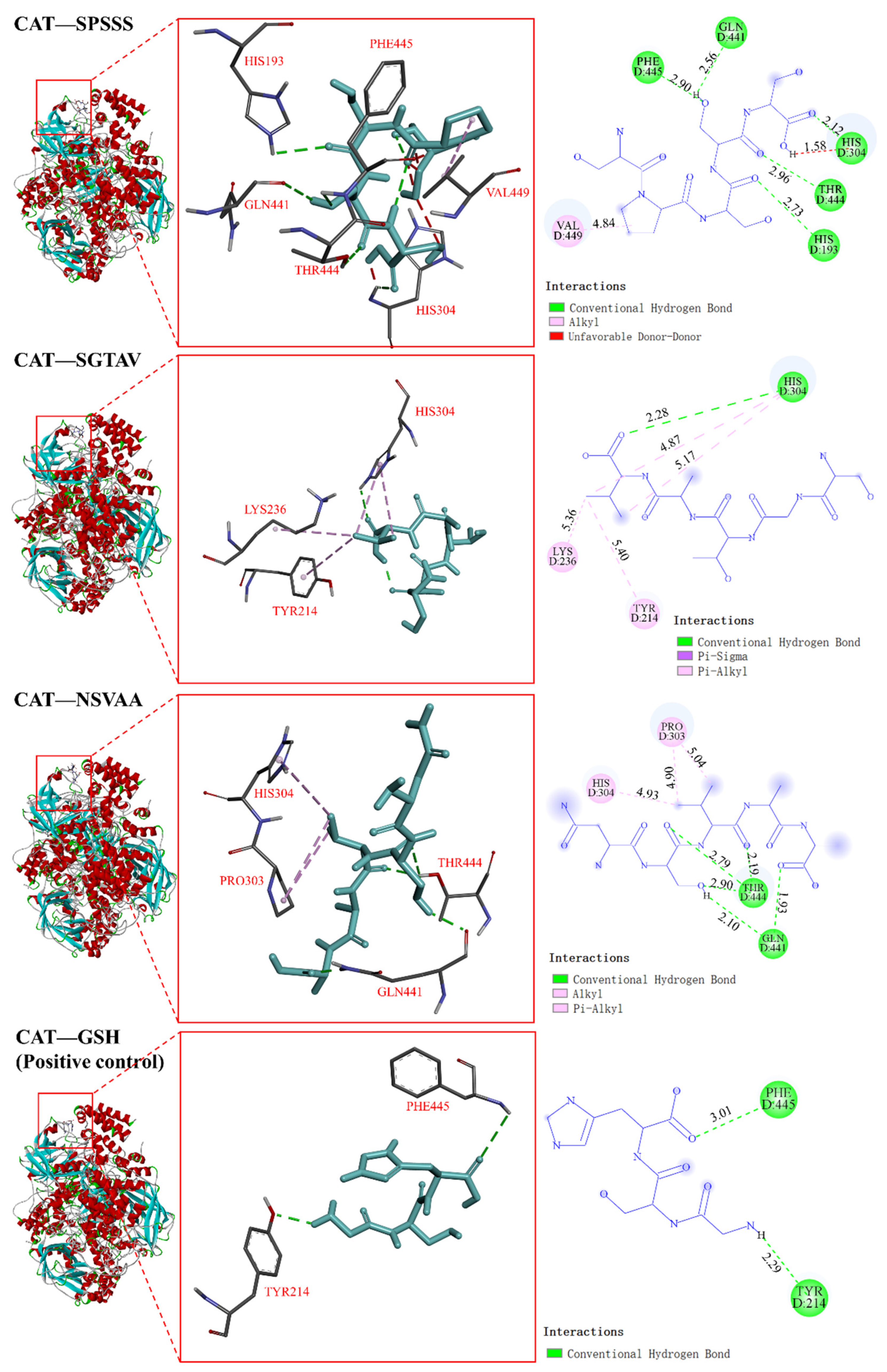 Molecules 28 00864 g007 Molecules 28 00864 g007