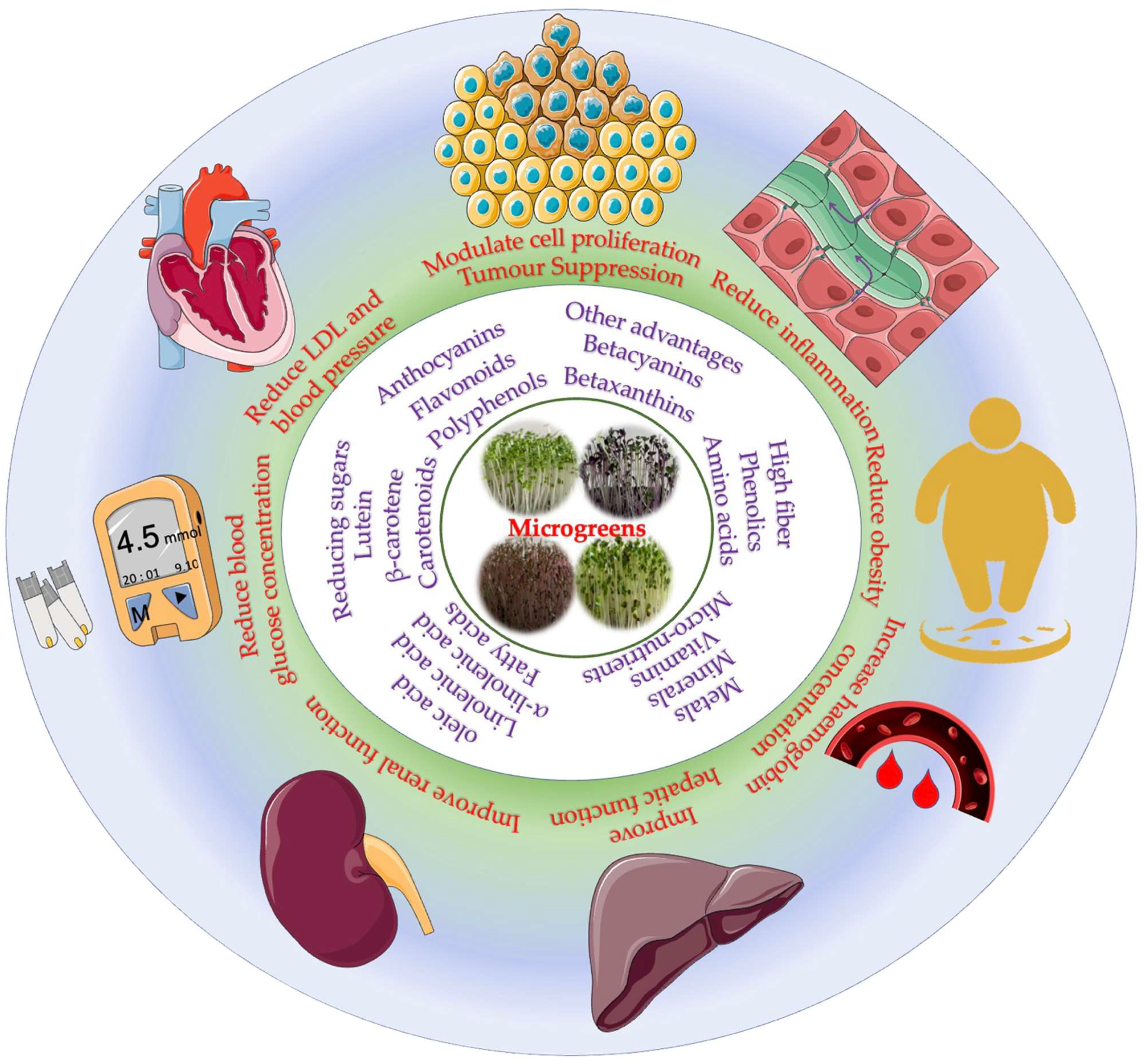 Molecules 28 00867 g002