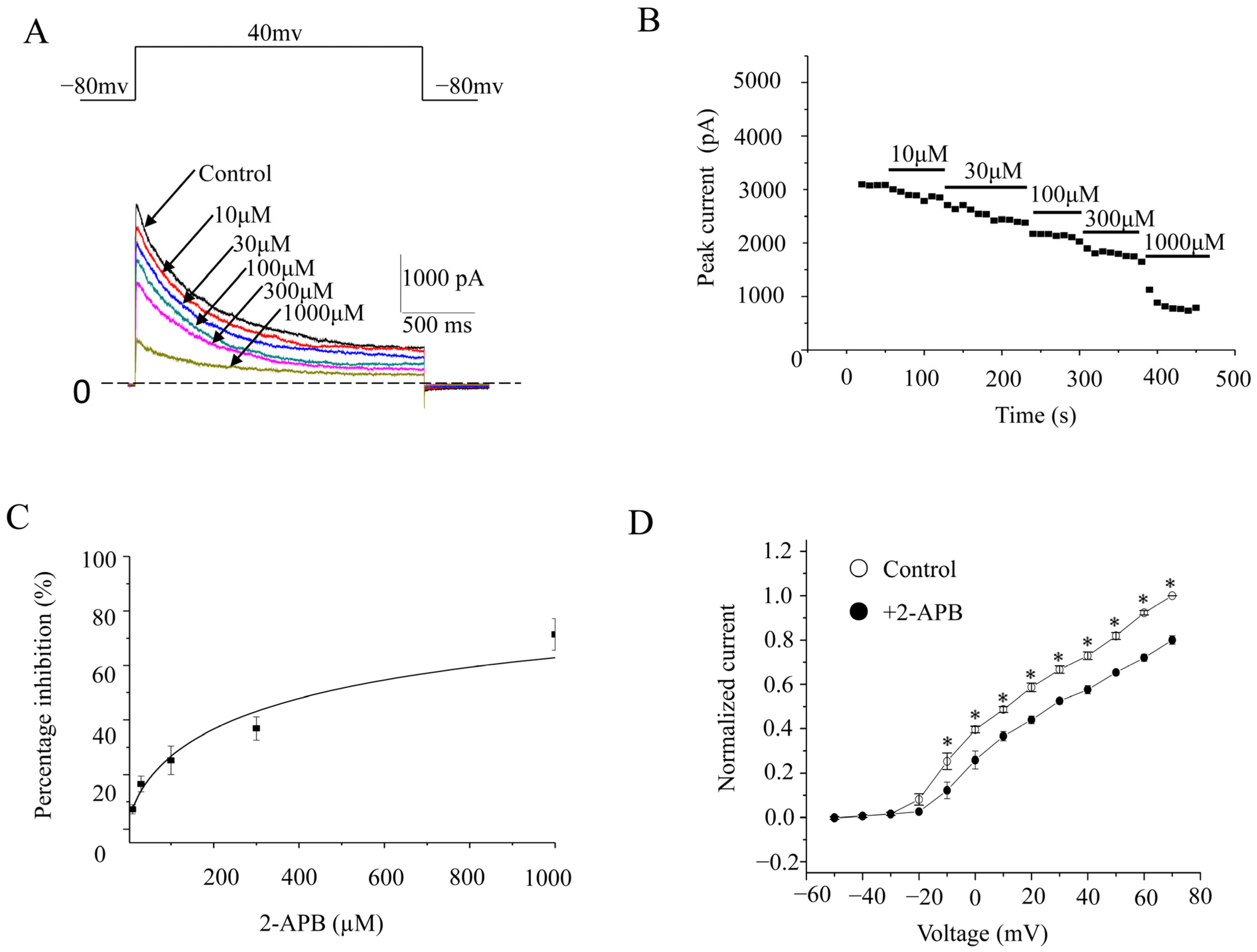 Molecules 28 00871 g002 Molecules 28 00871 g002