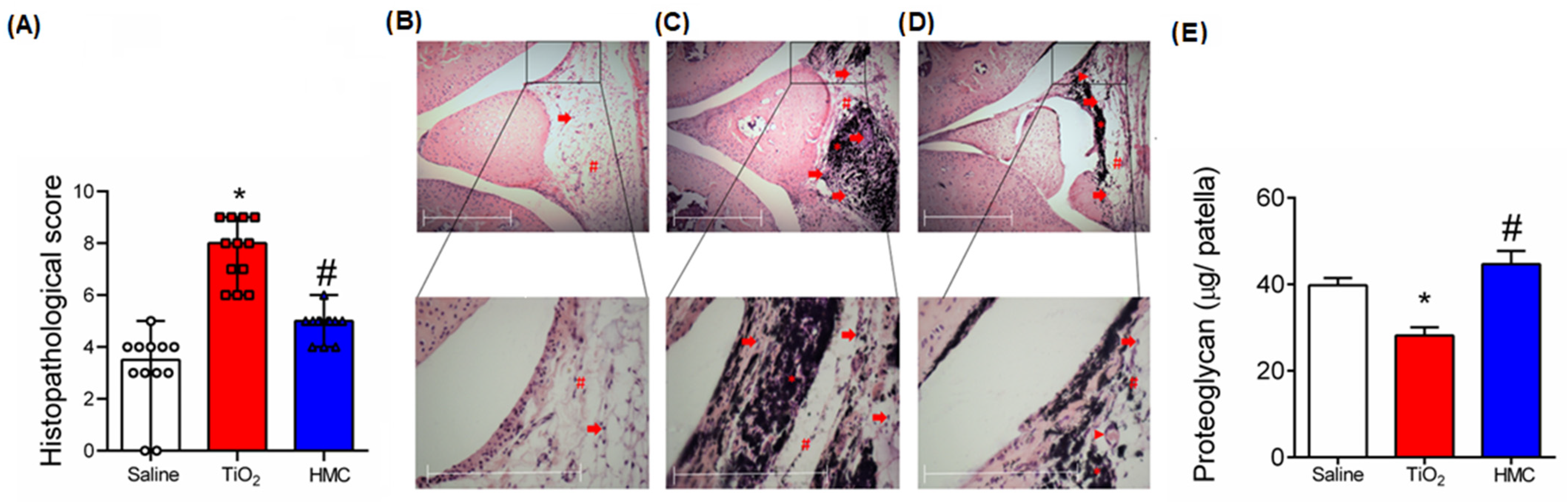 Molecules 28 00872 g005 Molecules 28 00872 g005