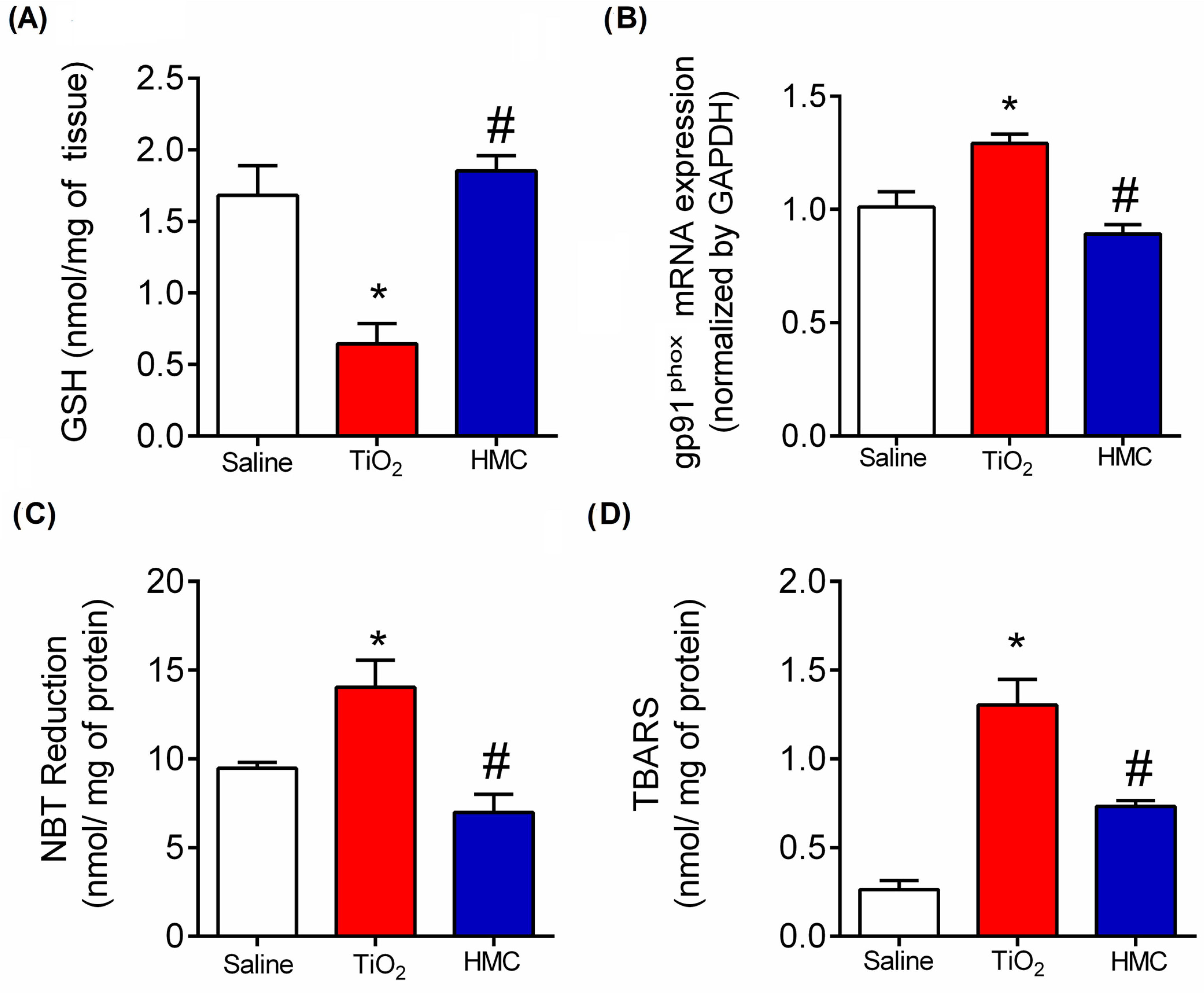 Molecules 28 00872 g006 Molecules 28 00872 g006
