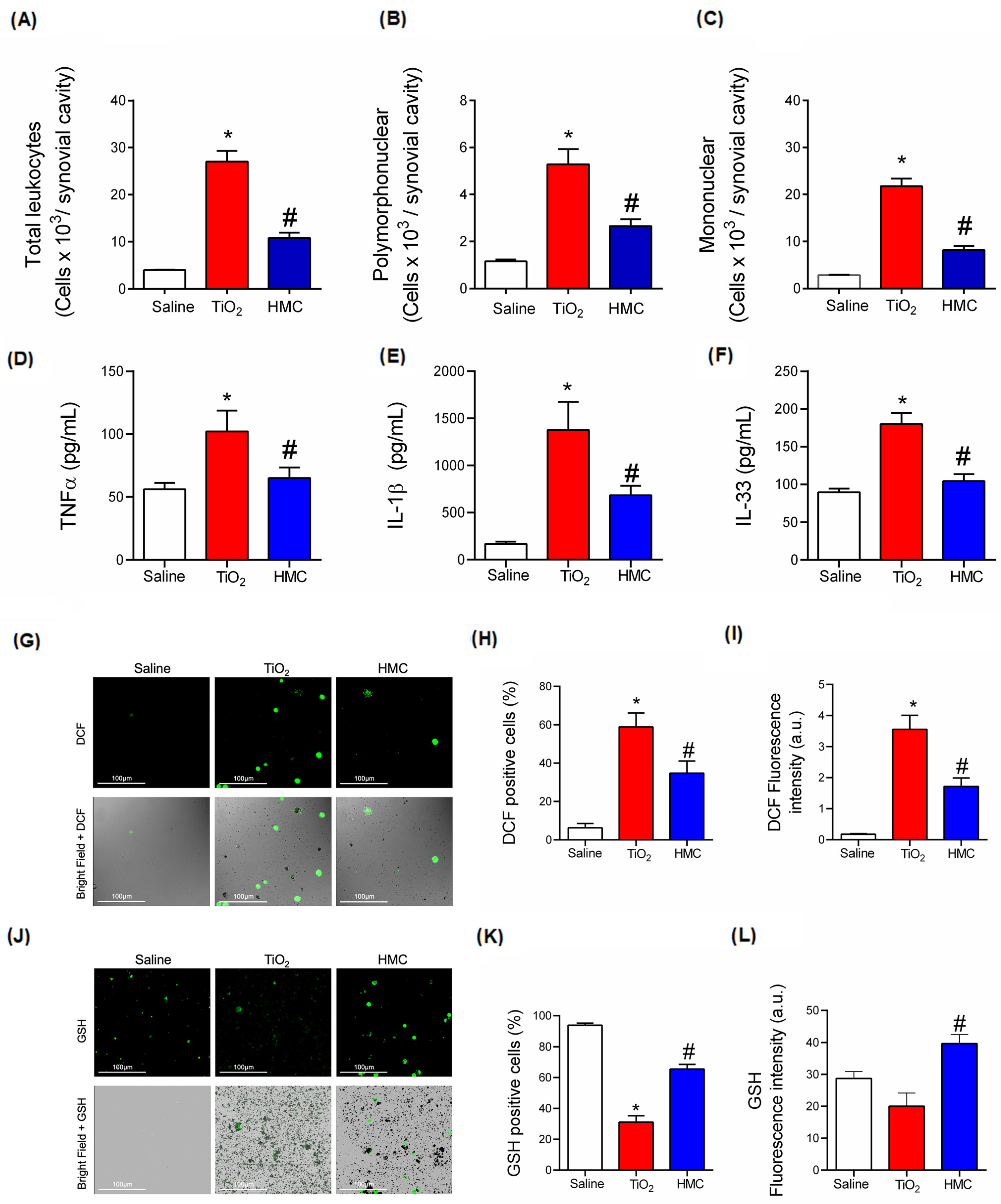 Molecules 28 00872 g007 Molecules 28 00872 g007