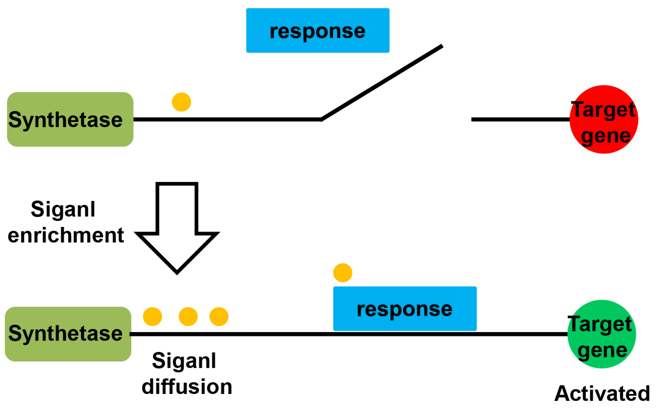 Molecules 28 00876 g001 Molecules 28 00876 g001