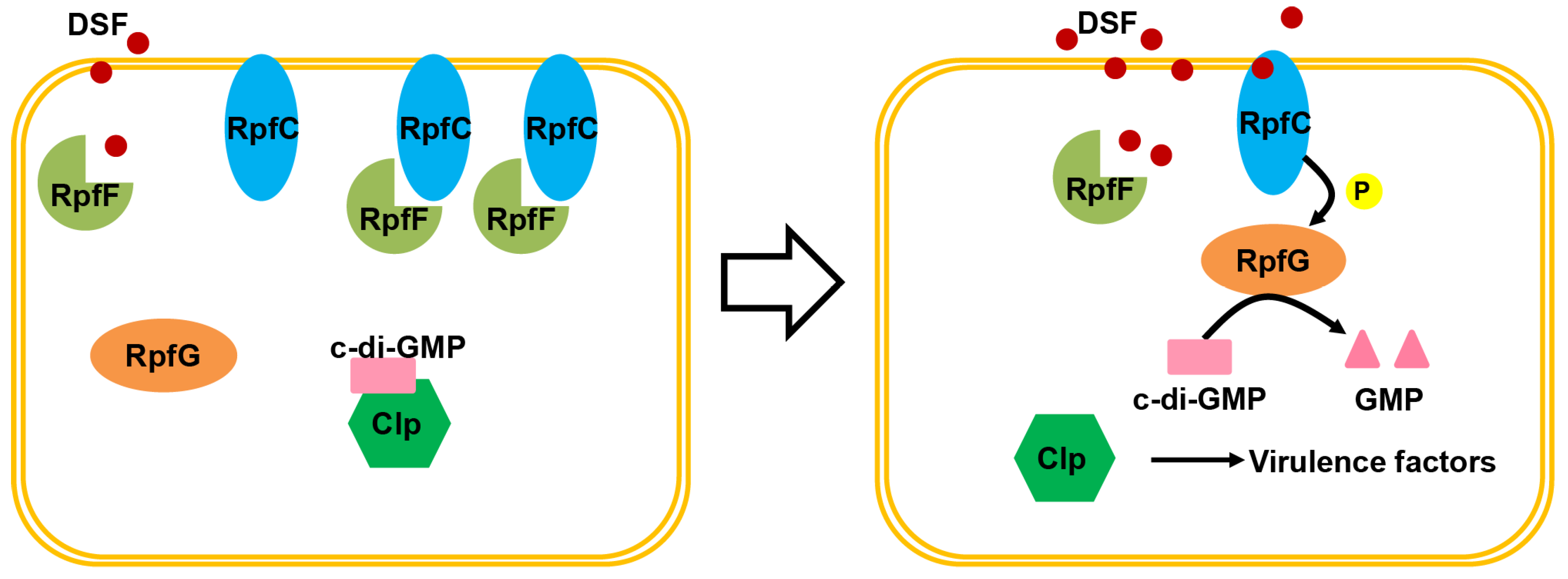 Molecules 28 00876 g002 Molecules 28 00876 g002