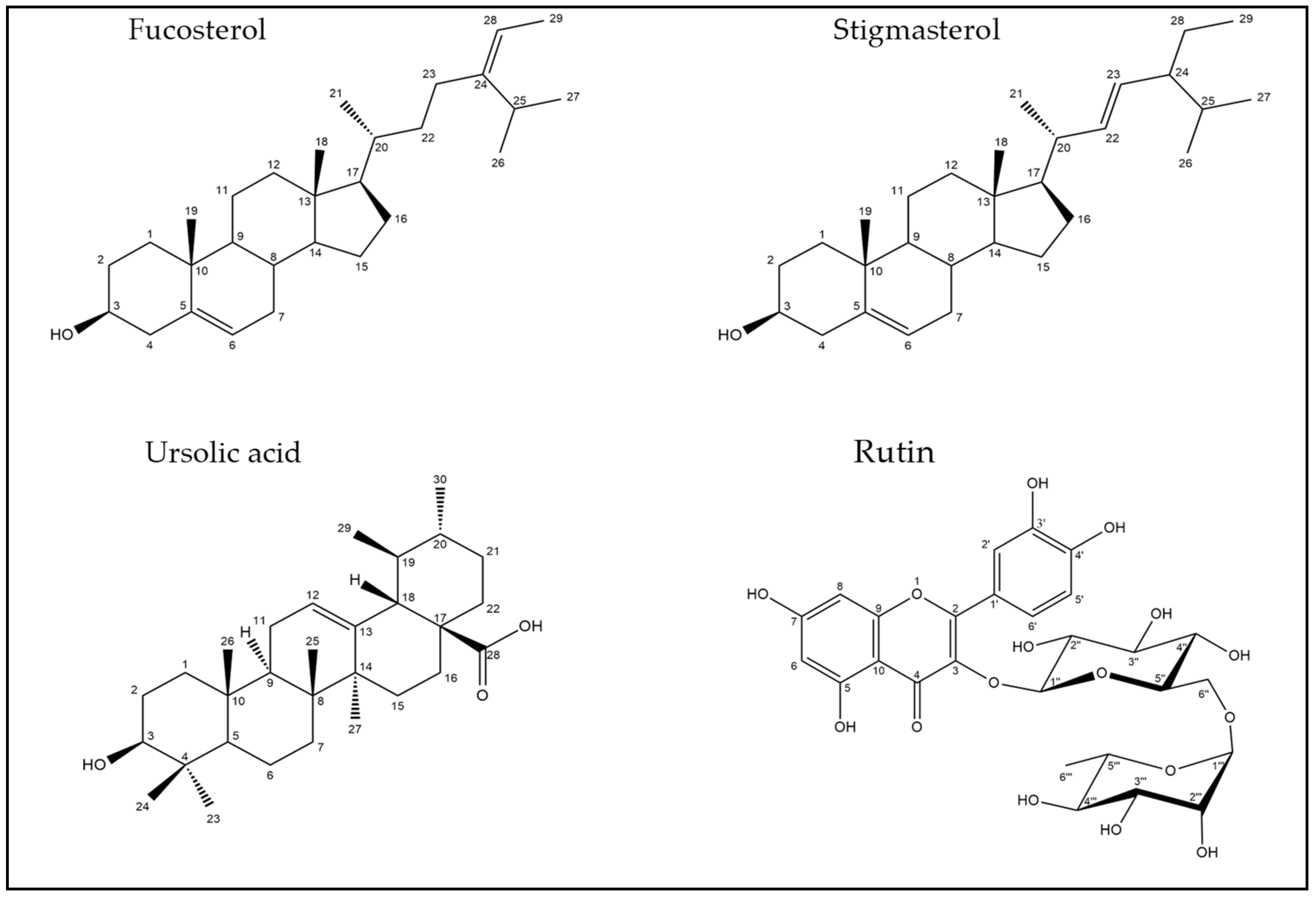 Molecules 28 00879 g004 Molecules 28 00879 g004