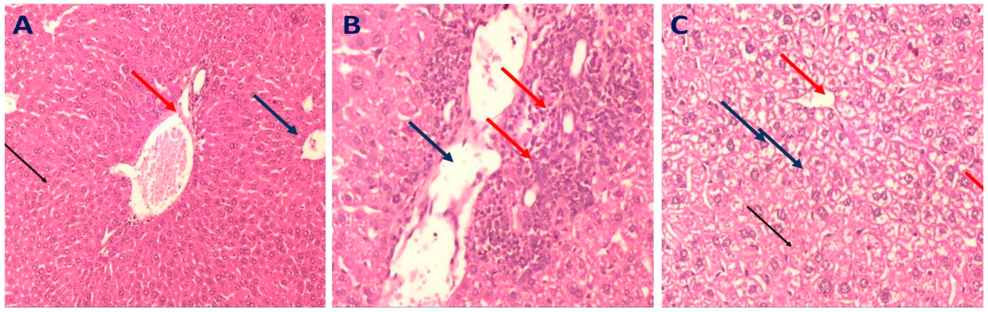 Molecules 28 00879 g006 Molecules 28 00879 g006
