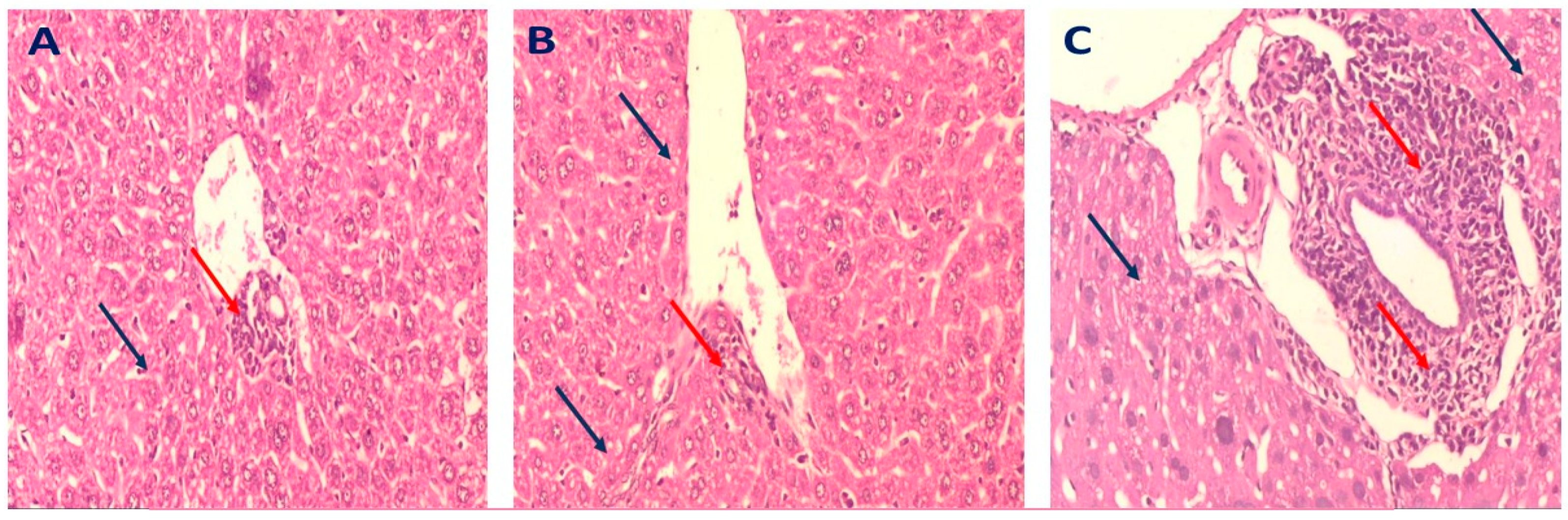 Molecules 28 00879 g007 Molecules 28 00879 g007