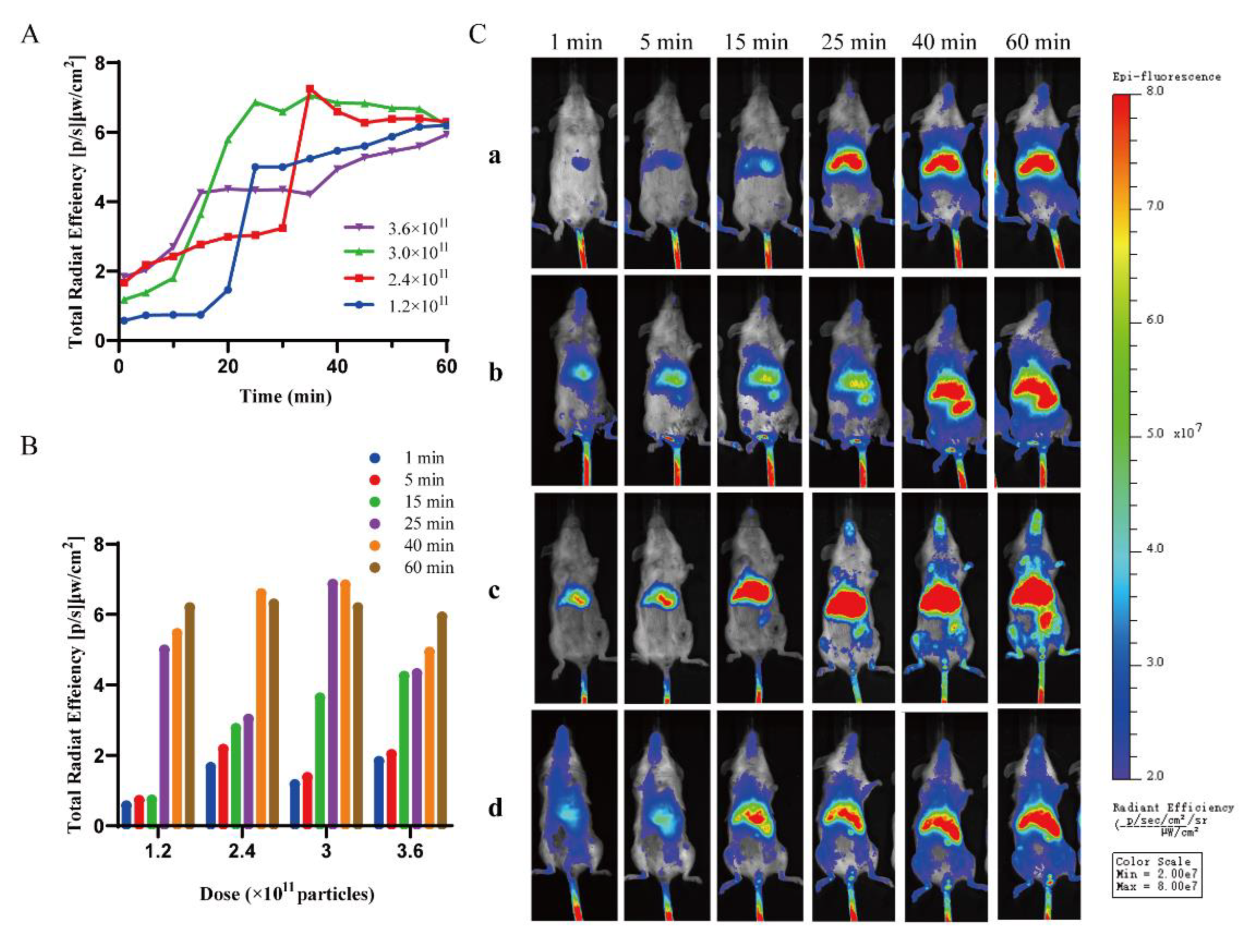 Molecules 28 00880 g003 Molecules 28 00880 g003