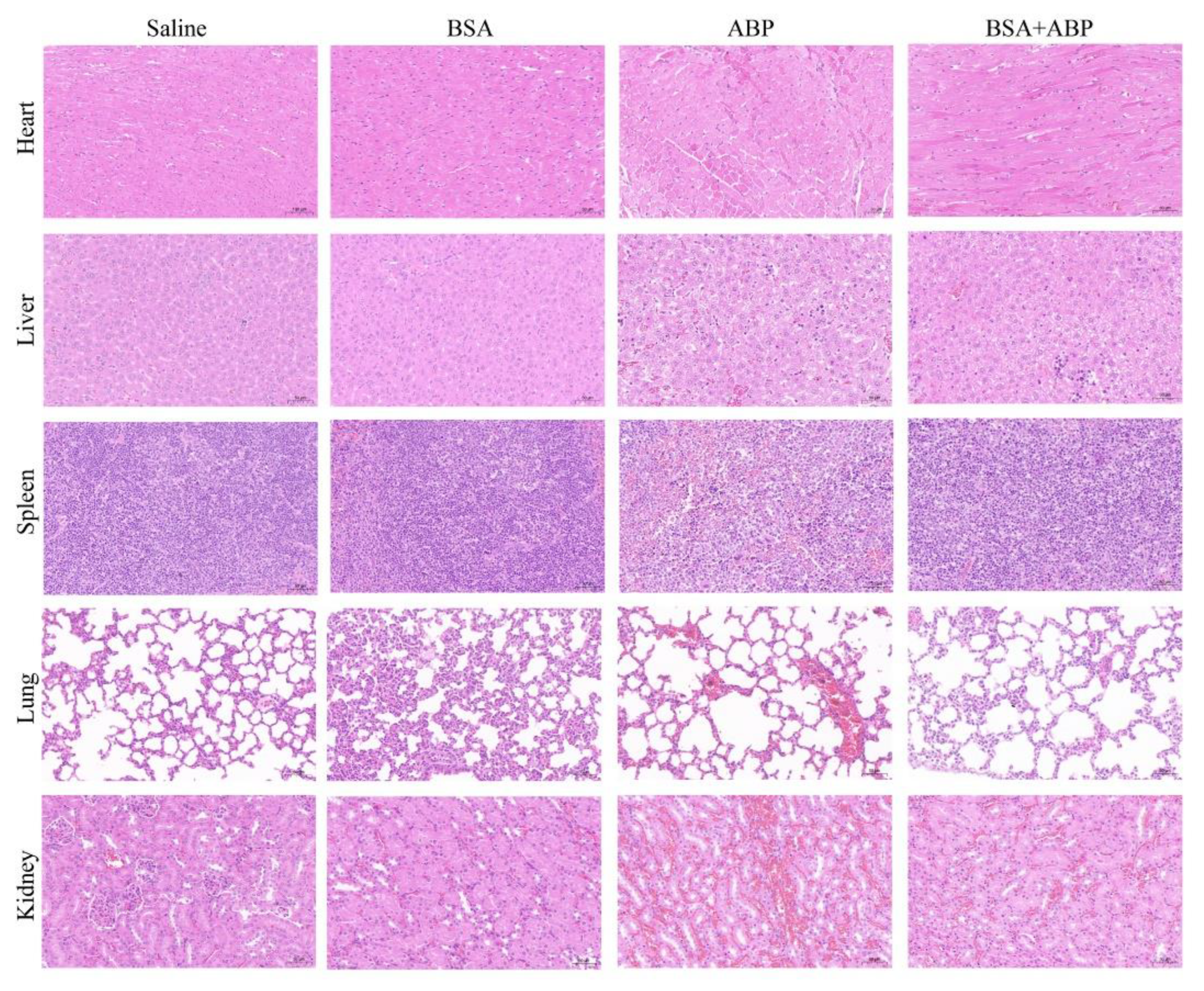 Molecules 28 00880 g005 Molecules 28 00880 g005