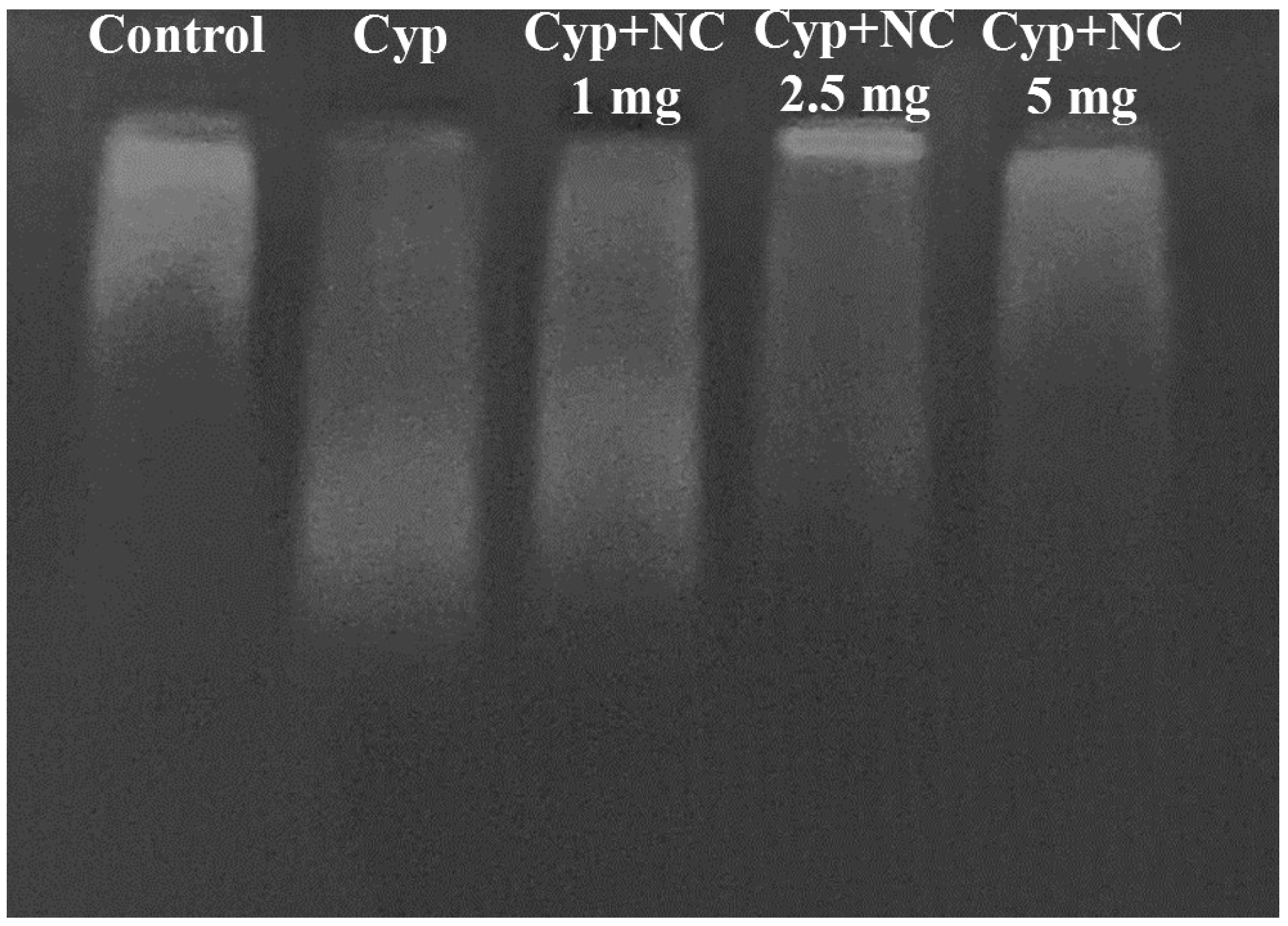 Molecules 28 00881 g007 Molecules 28 00881 g007