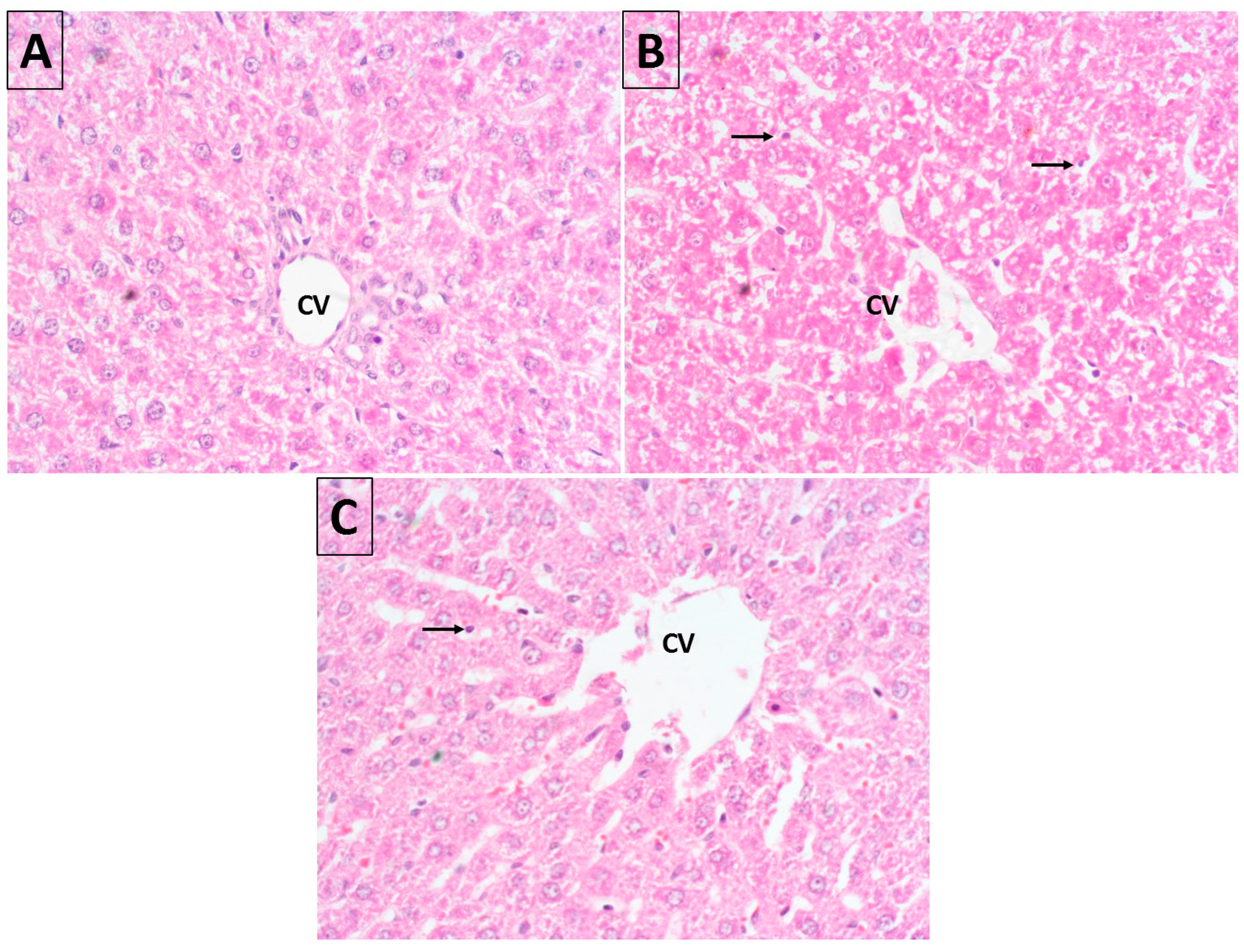 Molecules 28 00881 g008 Molecules 28 00881 g008
