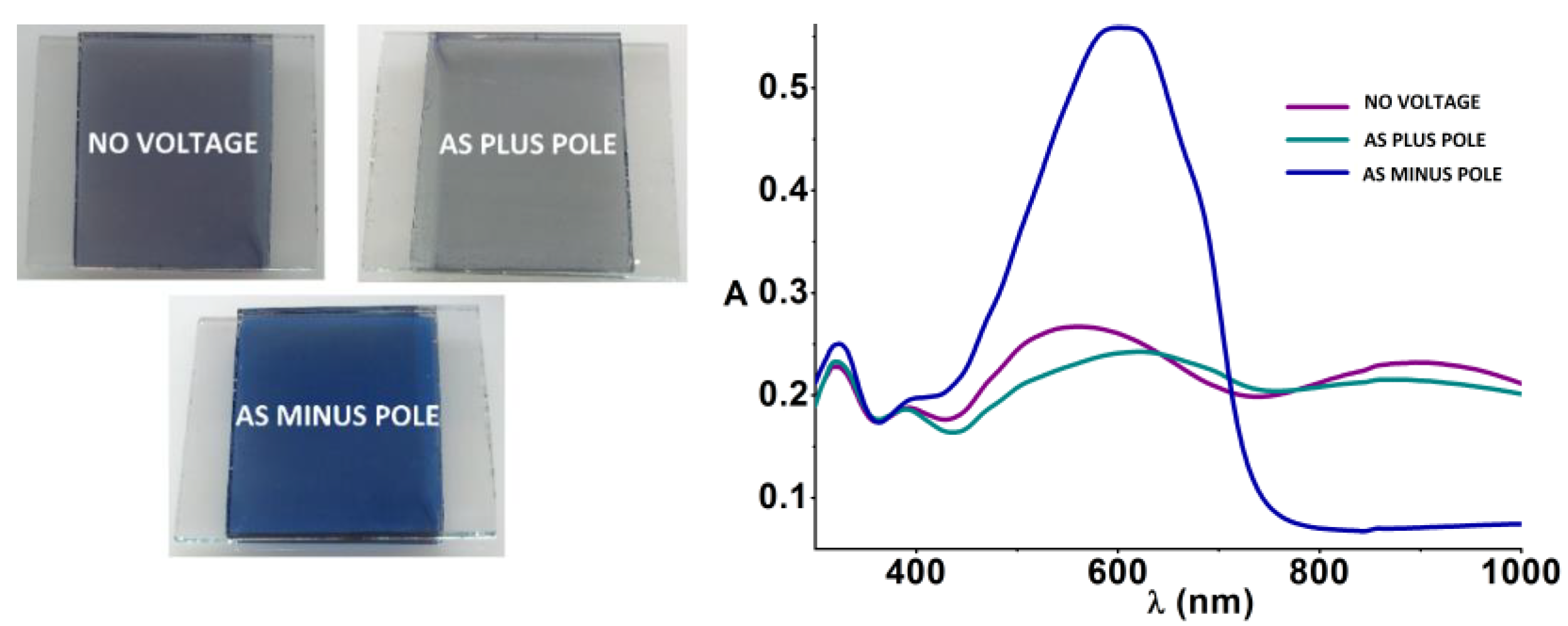 Molecules 28 00883 g001