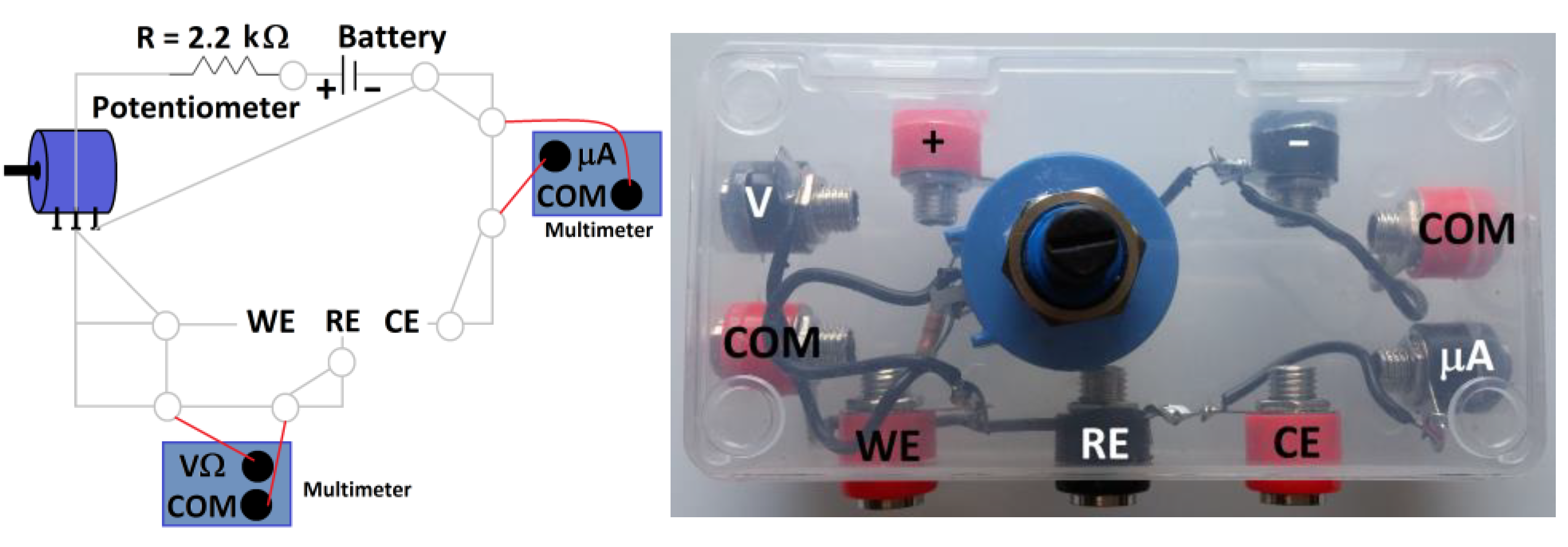 Molecules 28 00883 g002