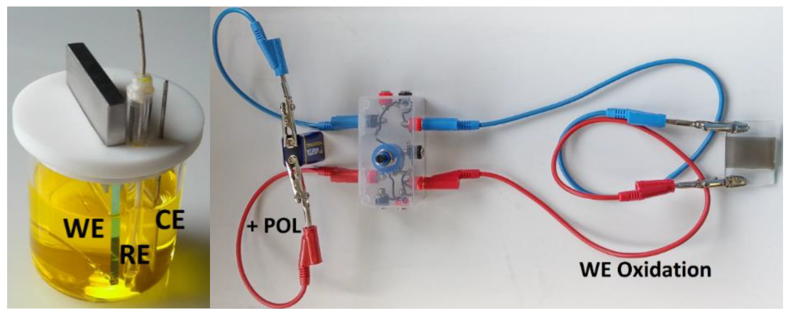 Molecules 28 00883 g003